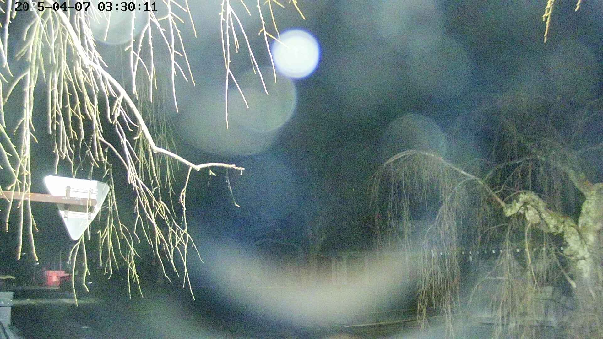 area1-20250407033015.jpg