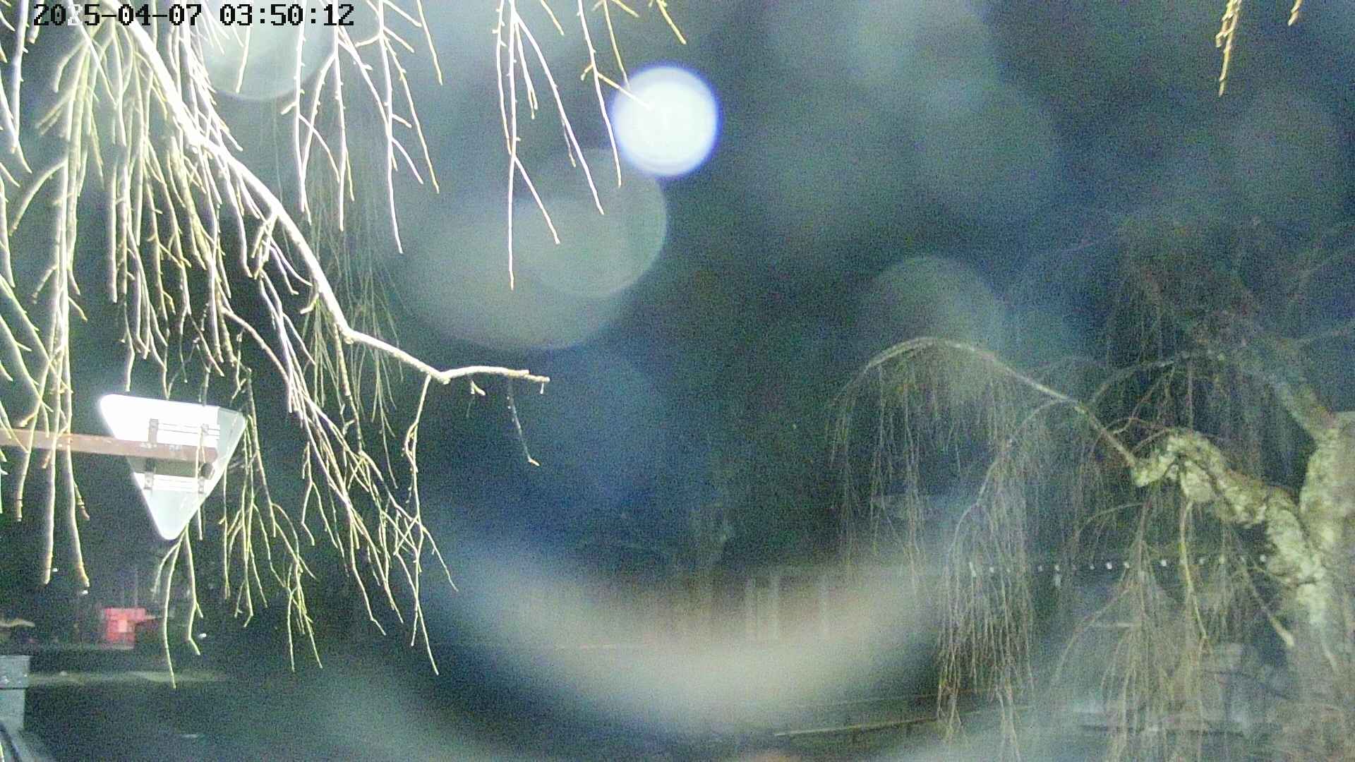 area1-20250407035016.jpg
