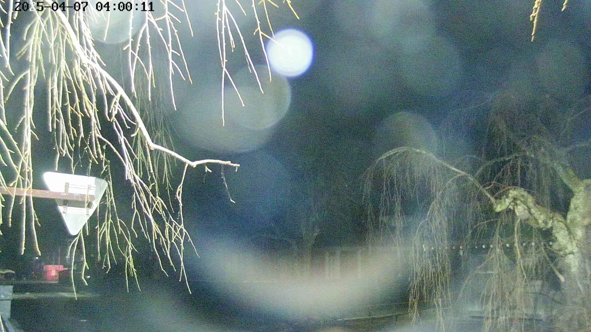 area1-20250407040014.jpg