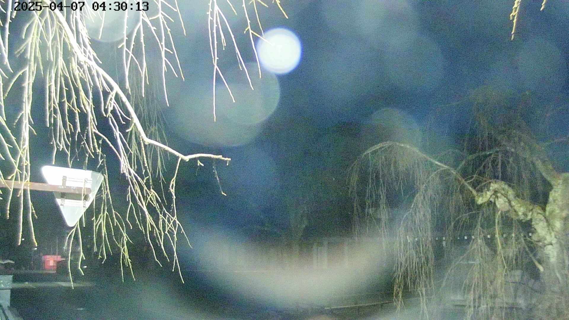 area1-20250407043016.jpg