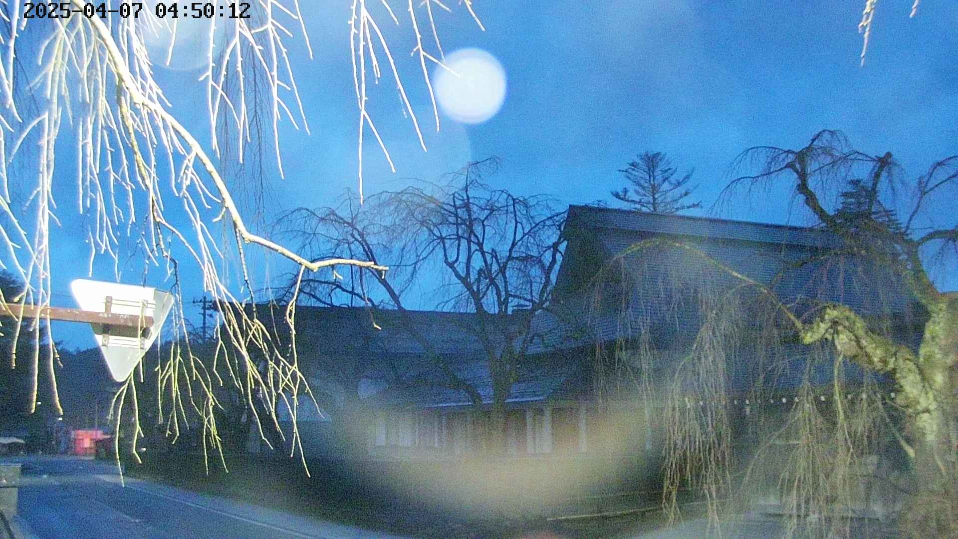 area1-20250407045015.jpg