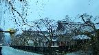 area1-20250407052014.jpg
