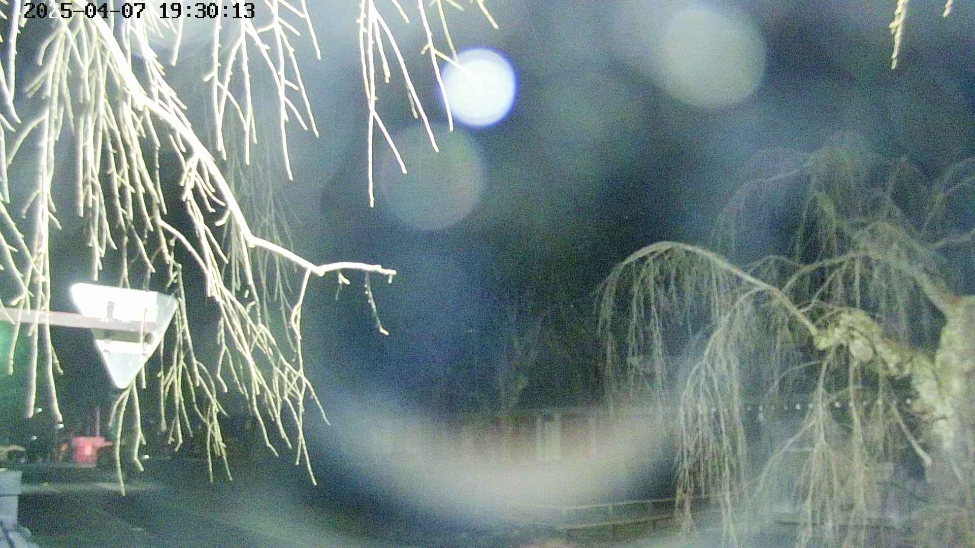 area1-20250407193015.jpg