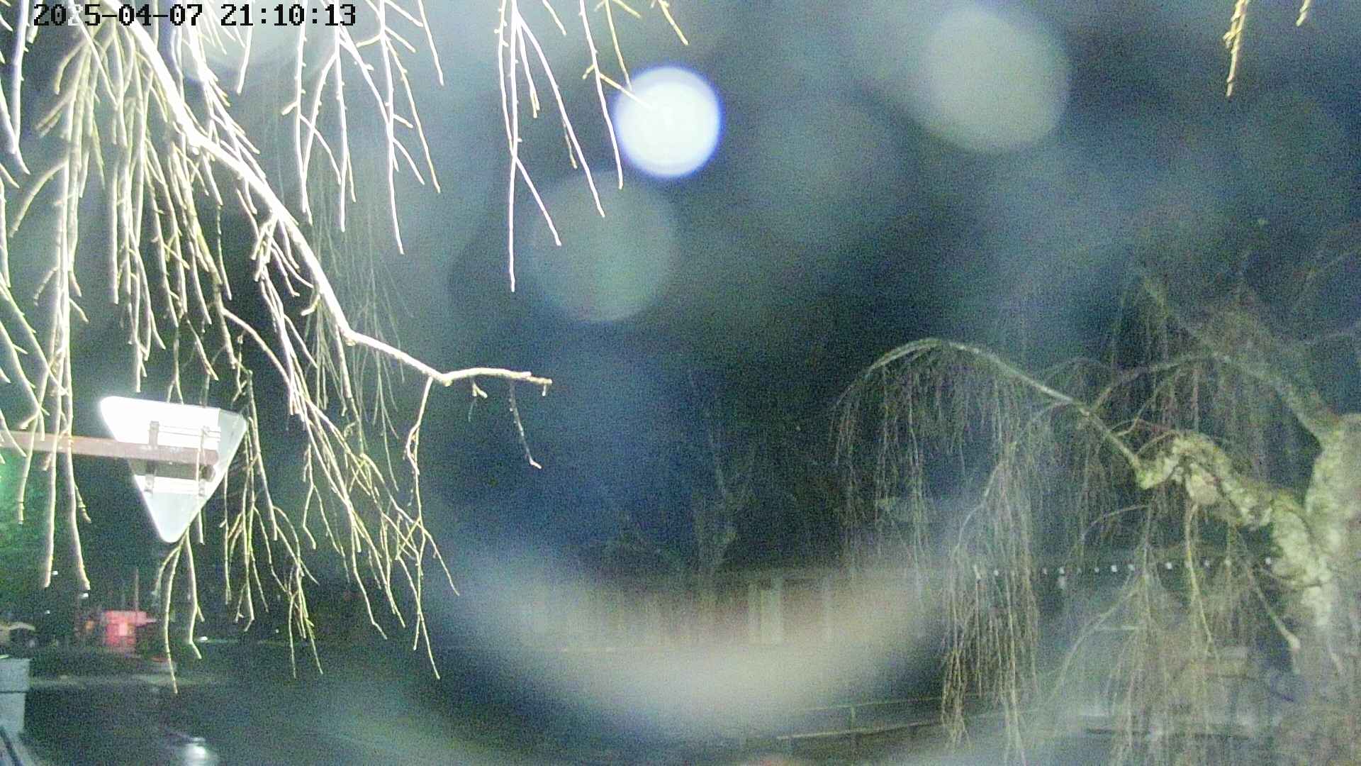 area1-20250407211015.jpg