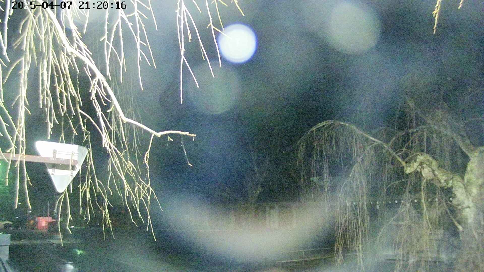area1-20250407212018.jpg