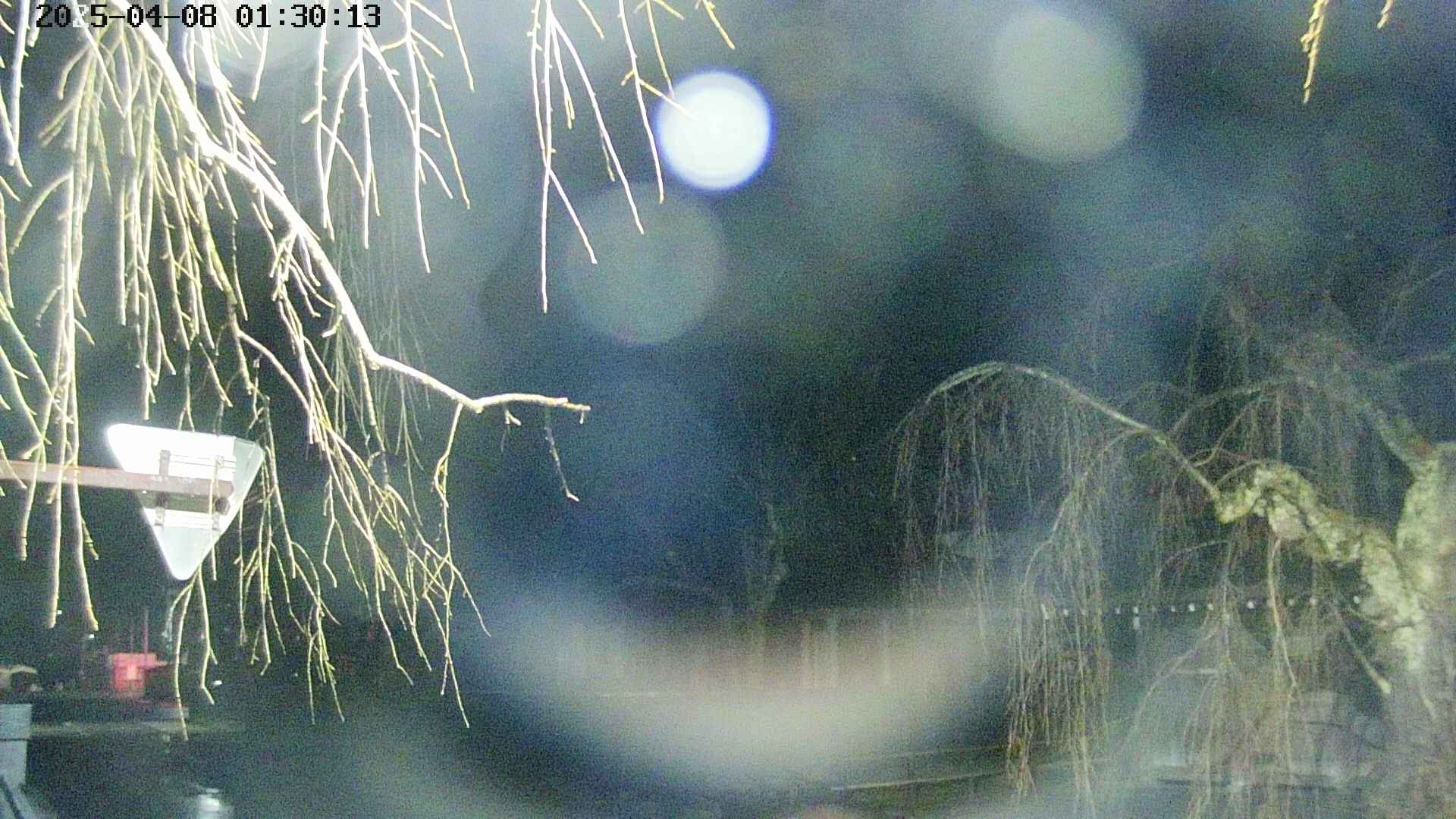 area1-20250408013016.jpg