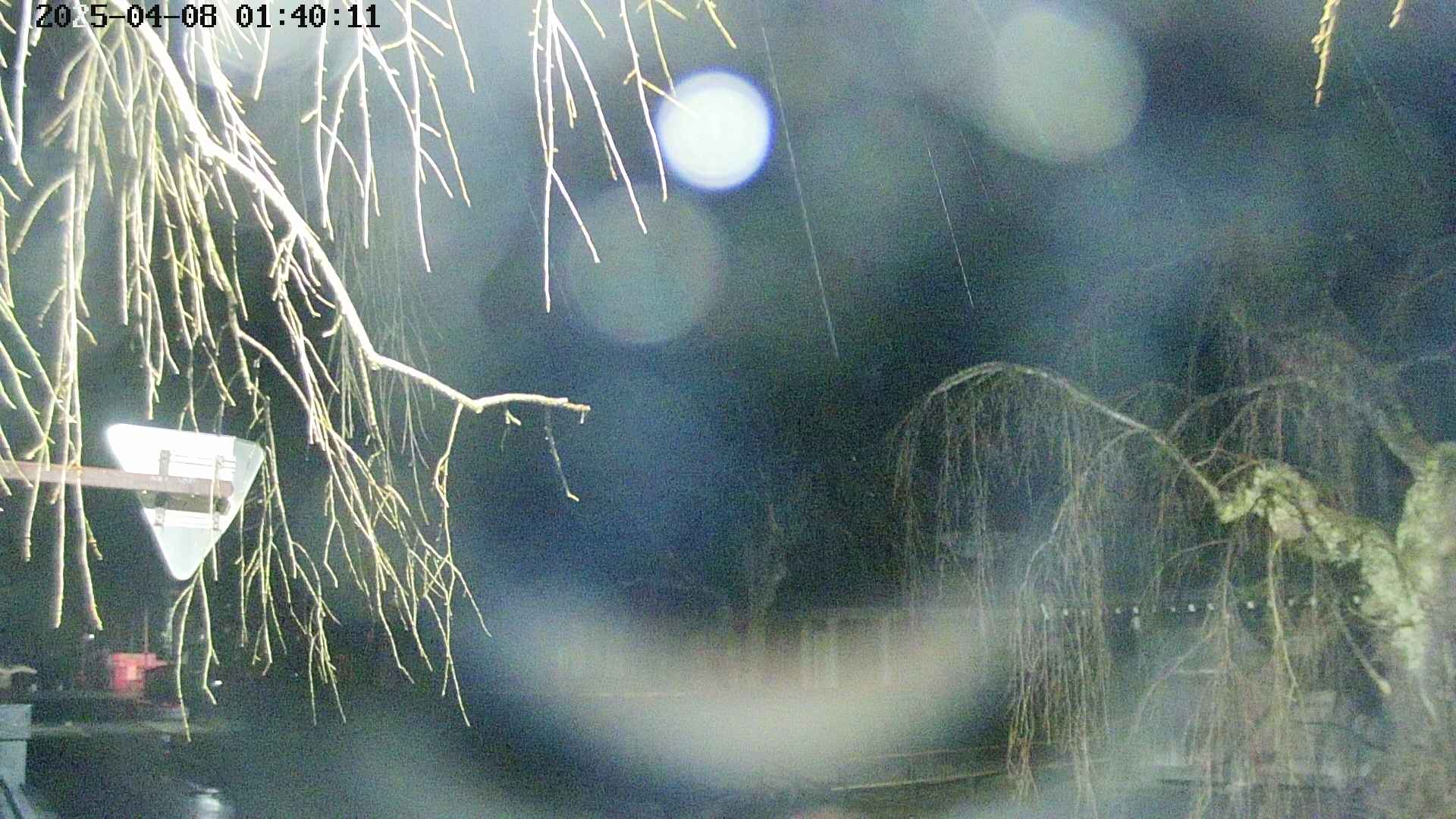 area1-20250408014014.jpg