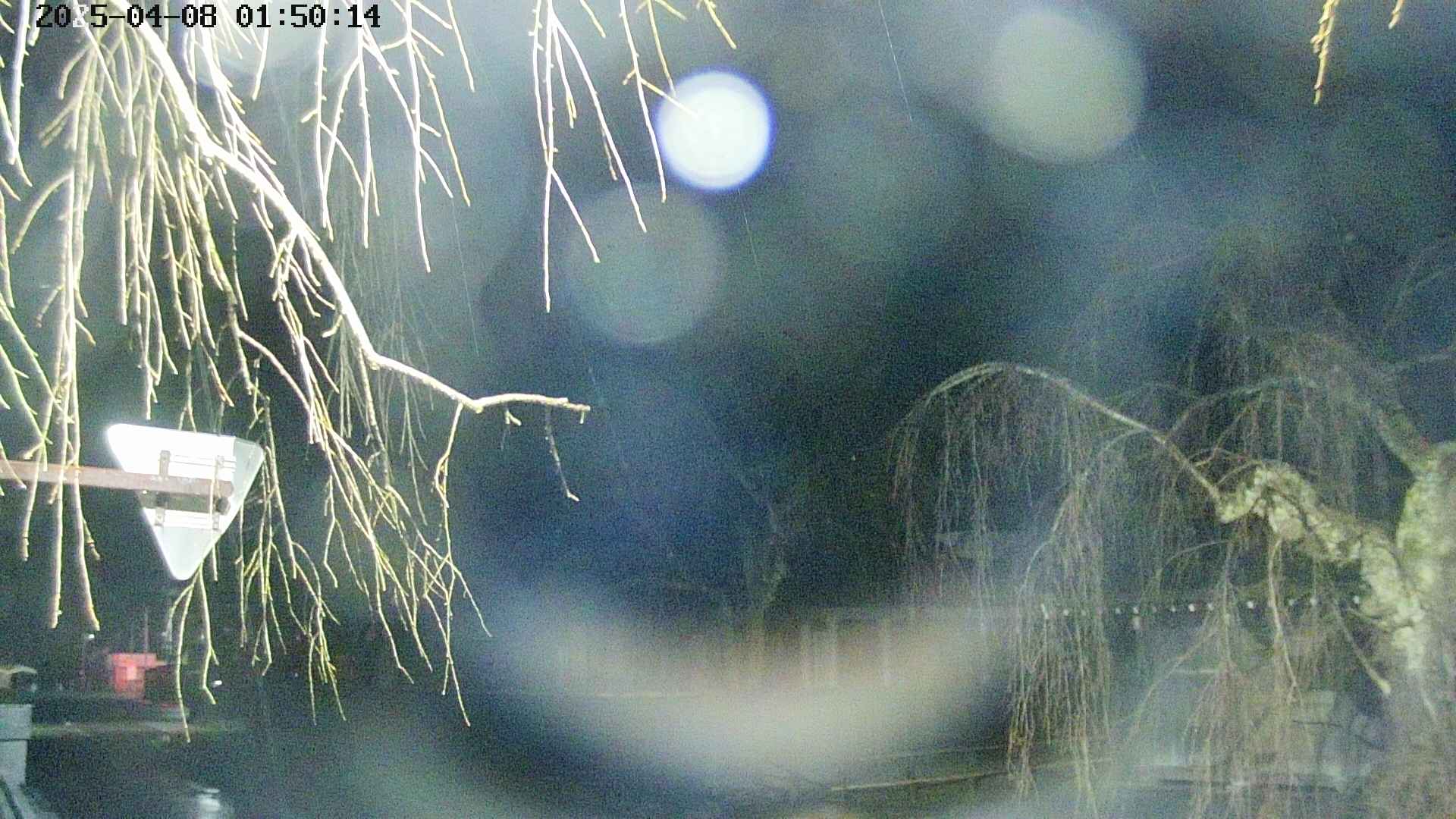area1-20250408015017.jpg