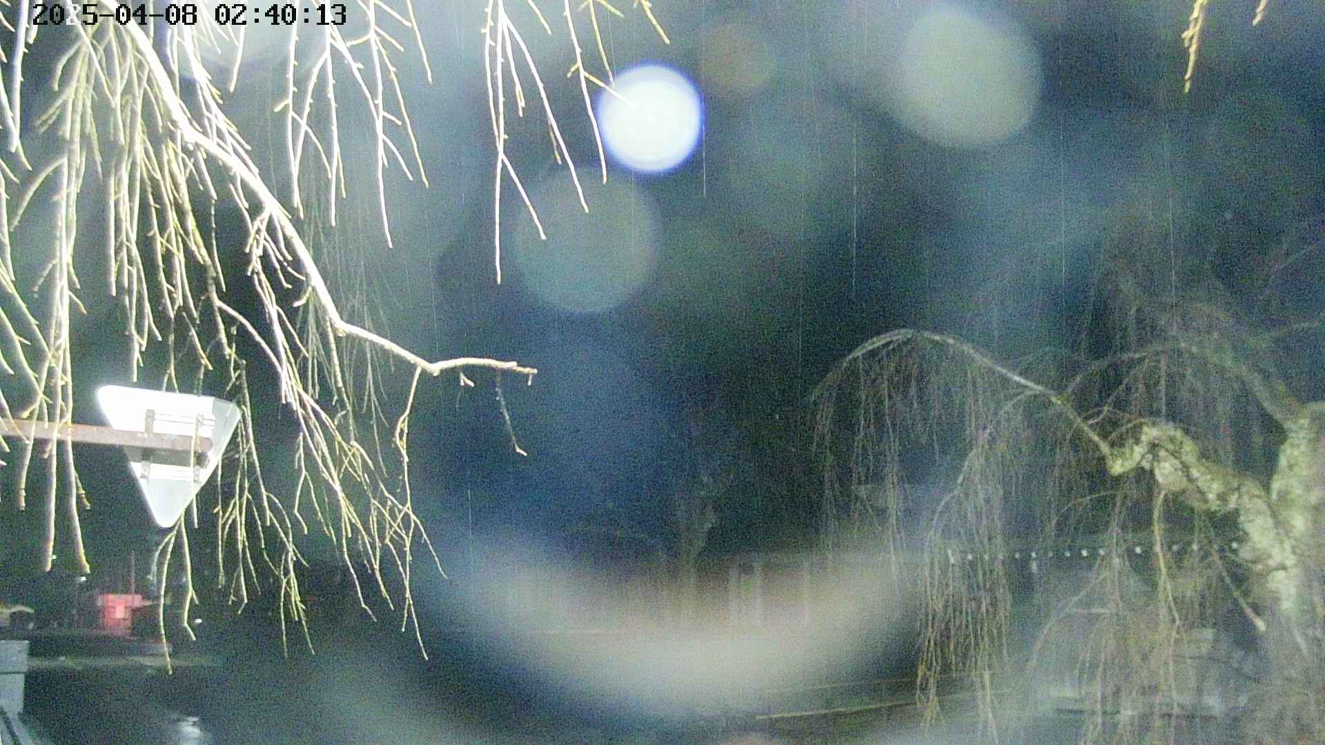 area1-20250408024016.jpg