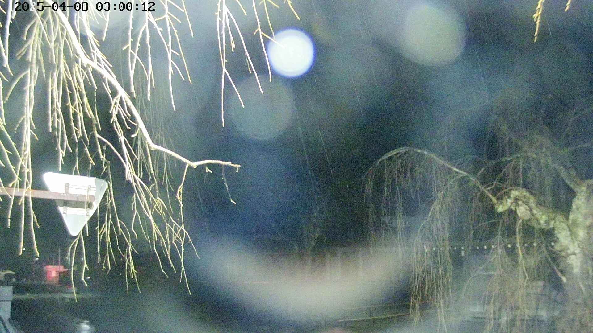 area1-20250408030015.jpg