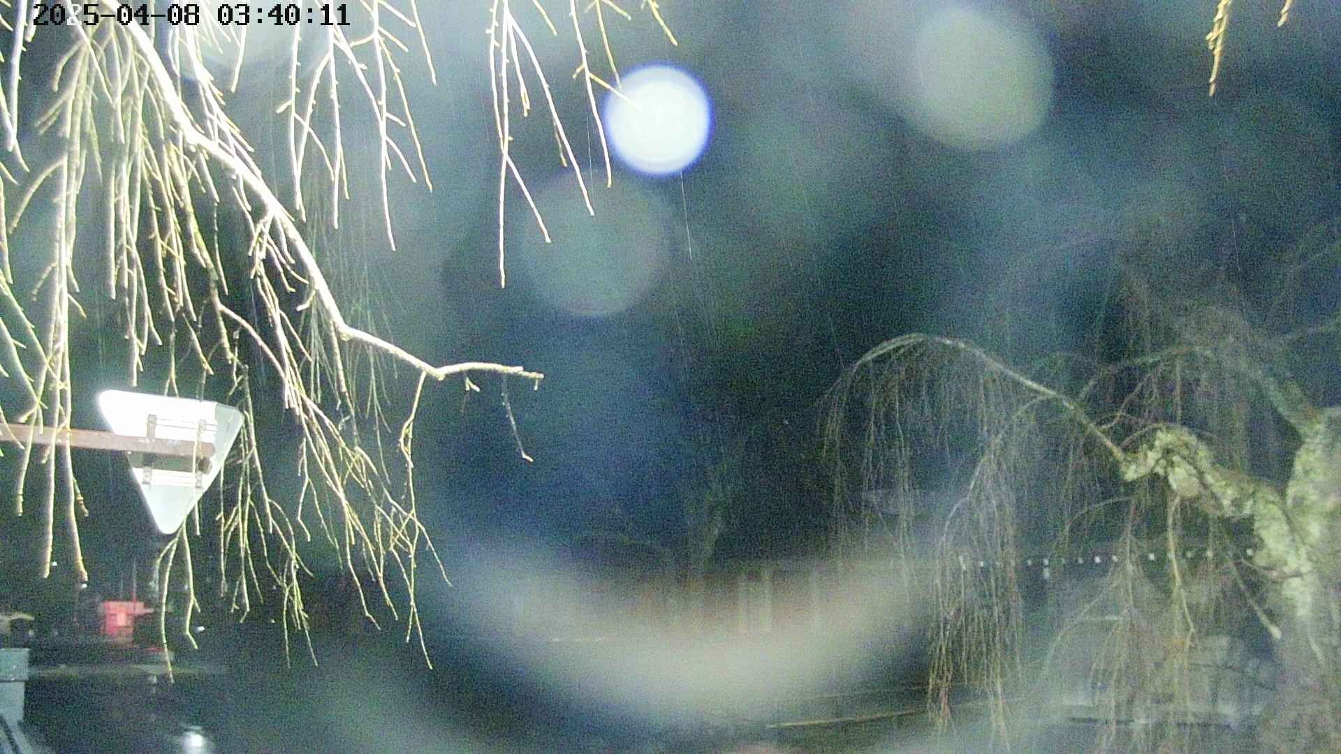 area1-20250408034015.jpg