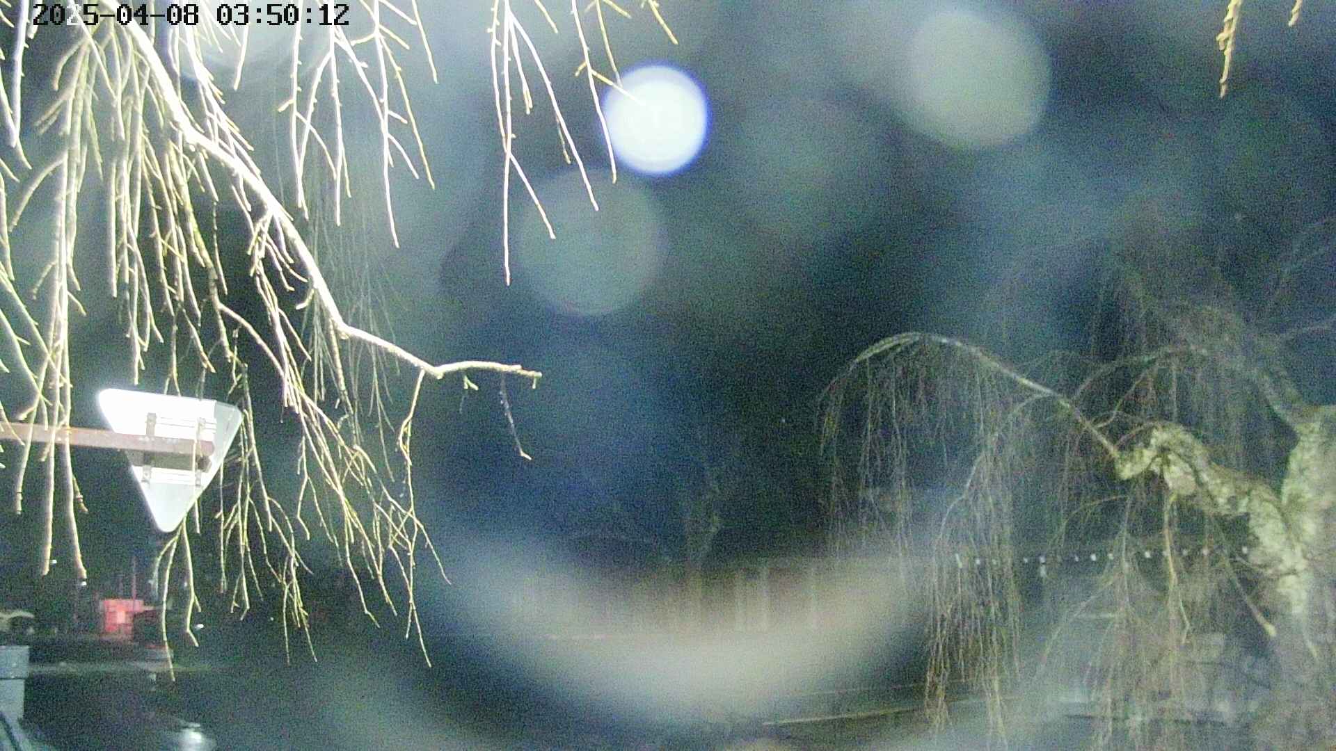 area1-20250408035015.jpg