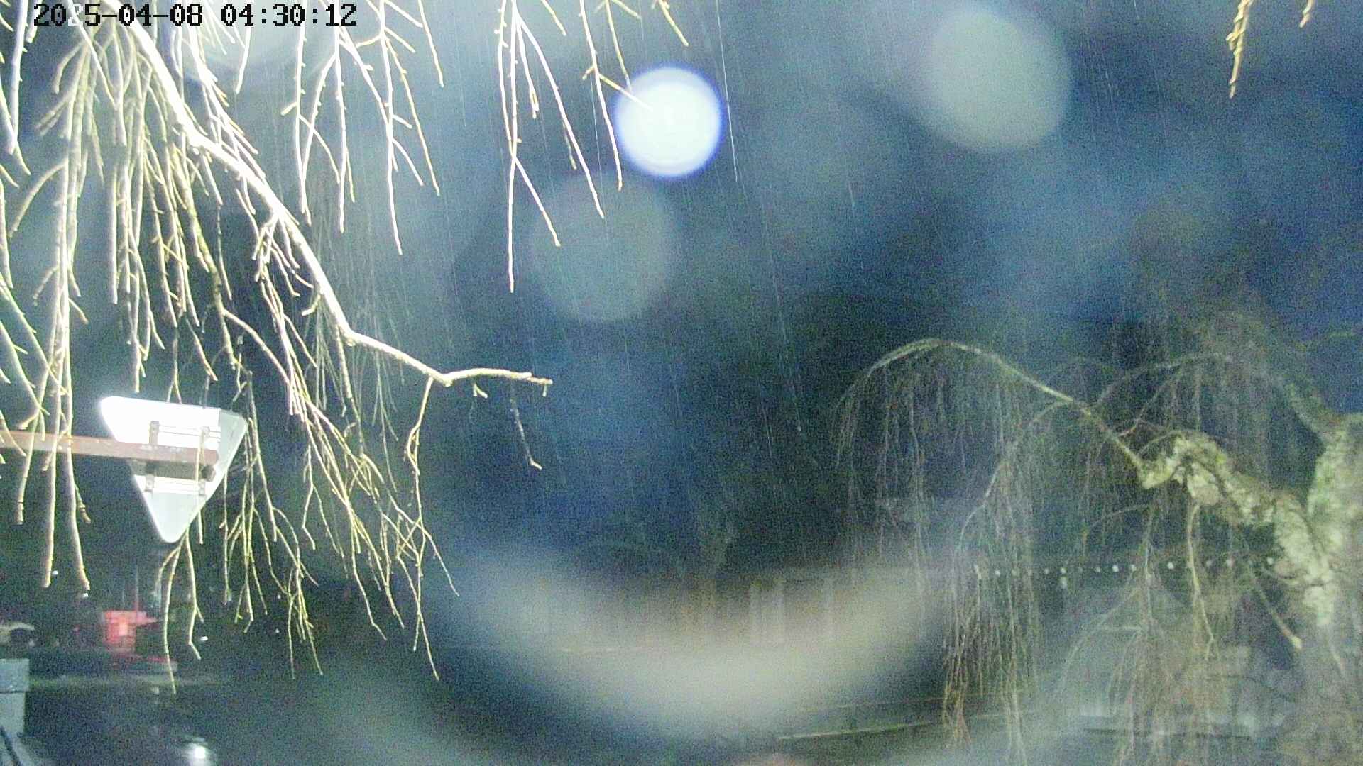 area1-20250408043016.jpg