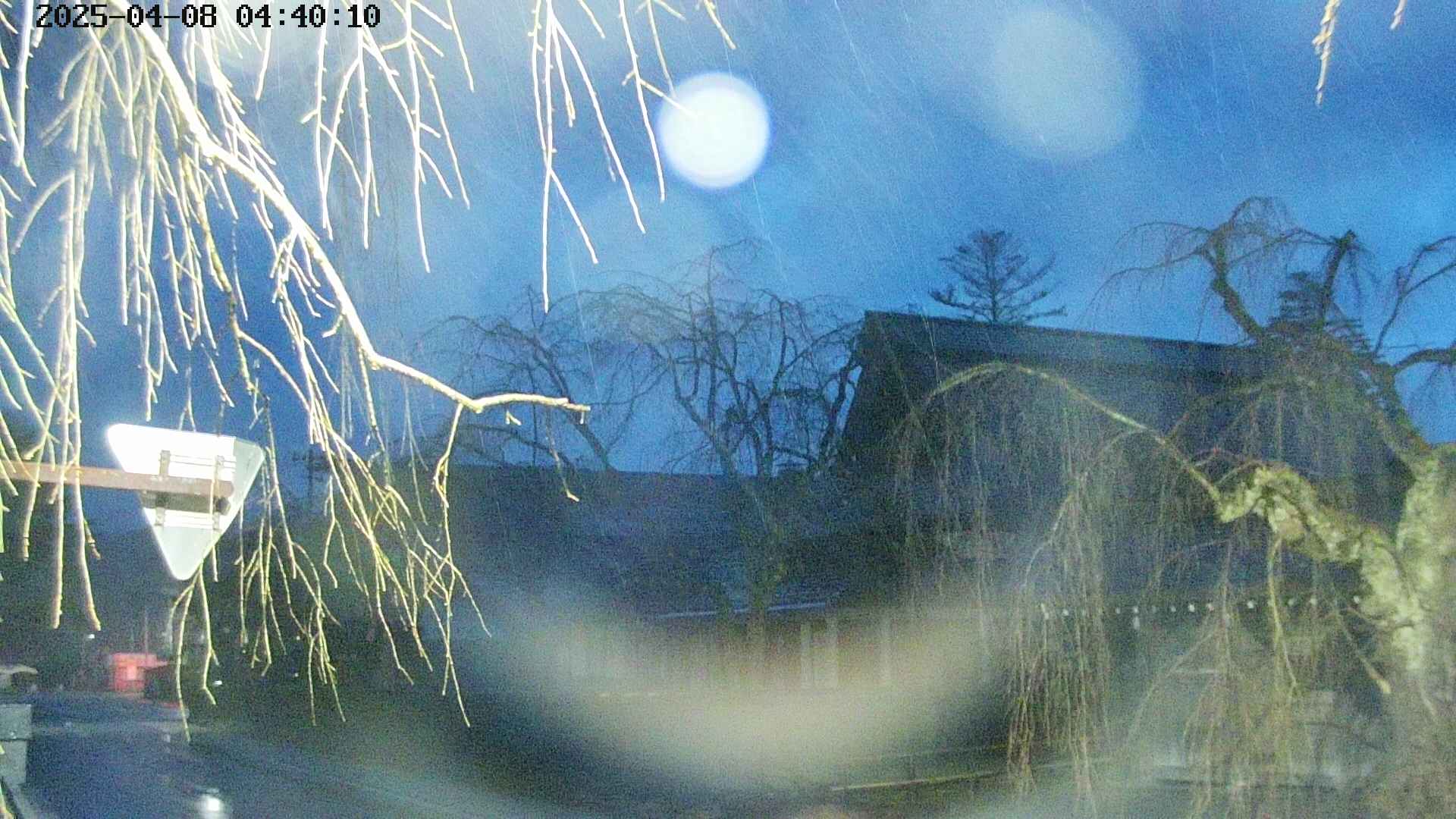 area1-20250408044014.jpg