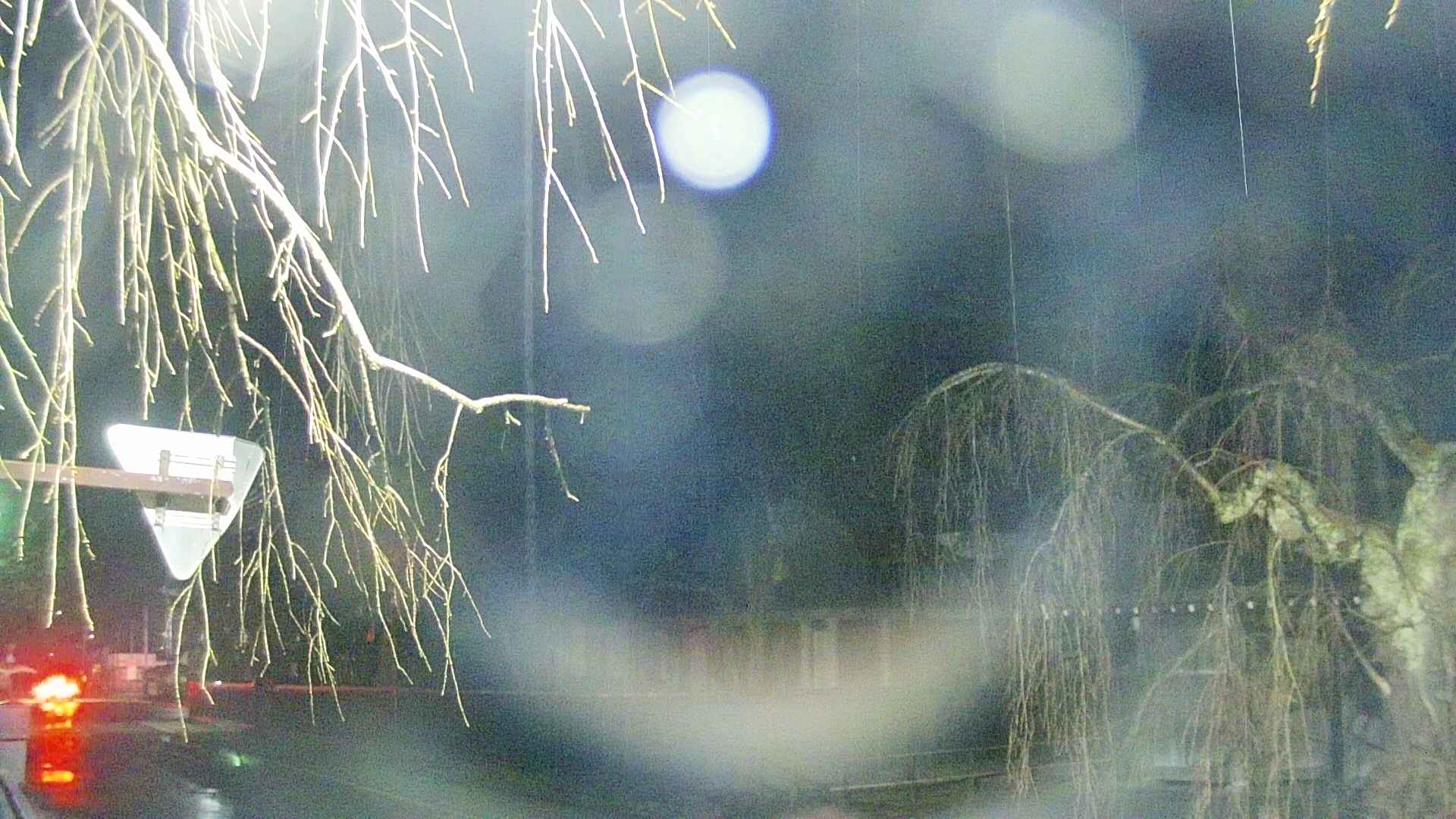 area1-20250408185016.jpg