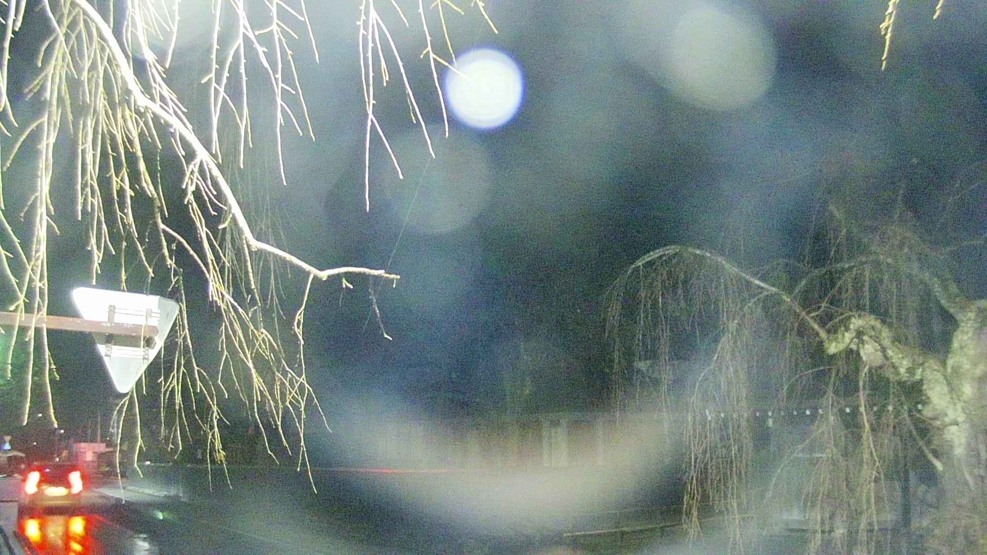 area1-20250408190017.jpg