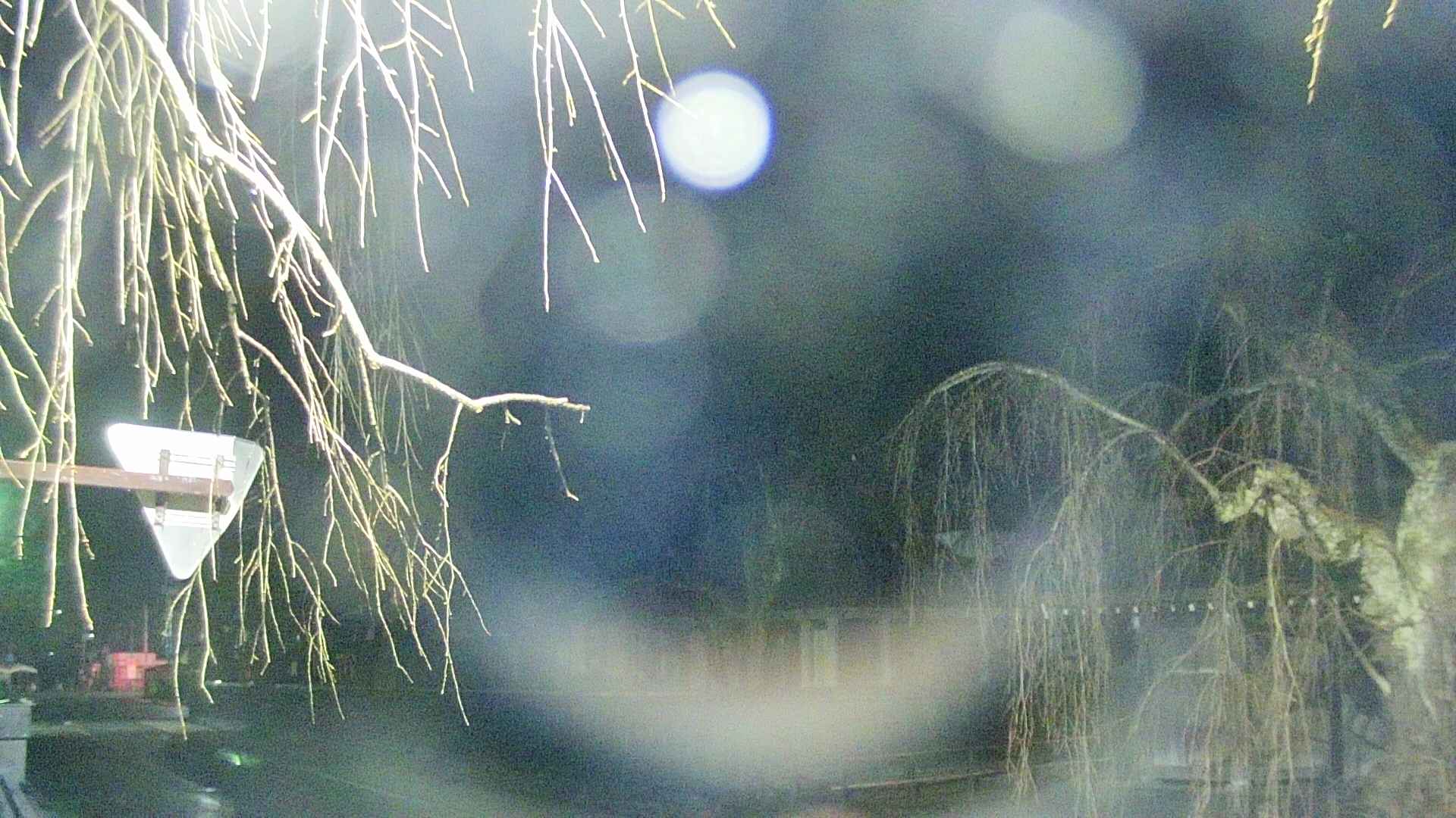 area1-20250408193017.jpg