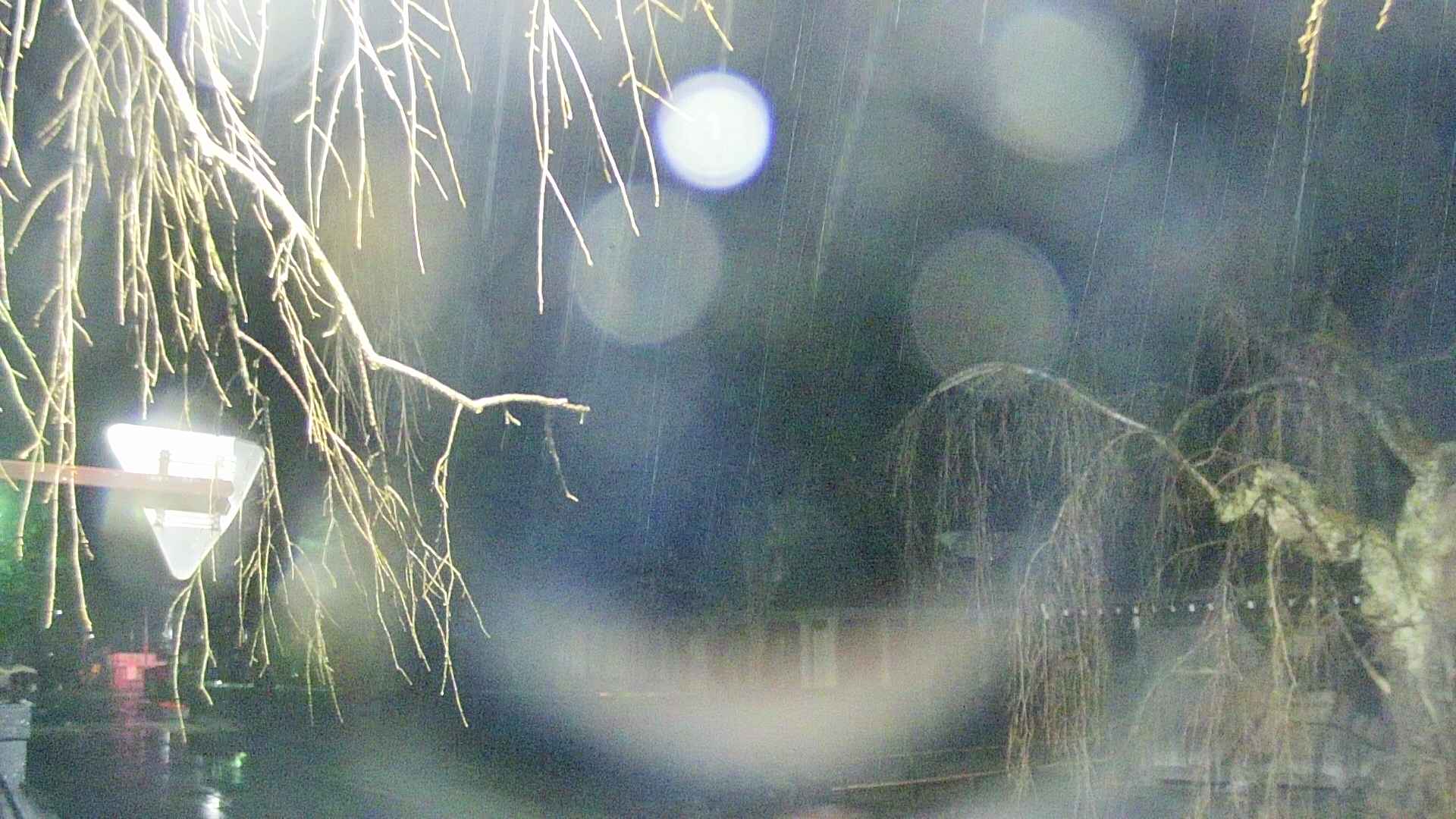 area1-20250408212017.jpg