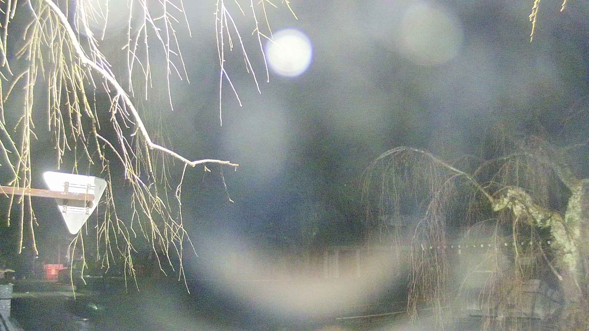 area1-20250409012016.jpg