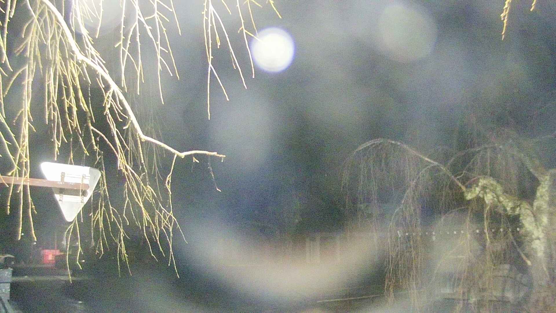 area1-20250409013014.jpg