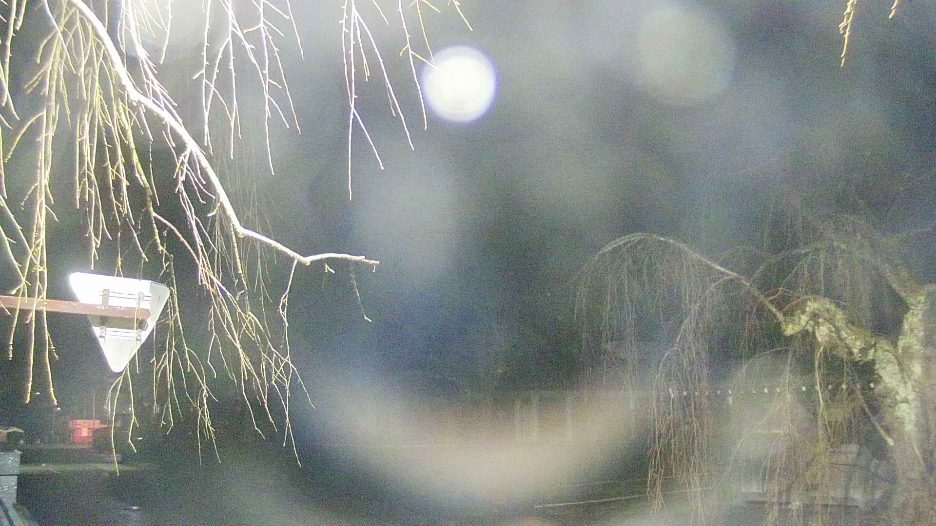 area1-20250409014017.jpg