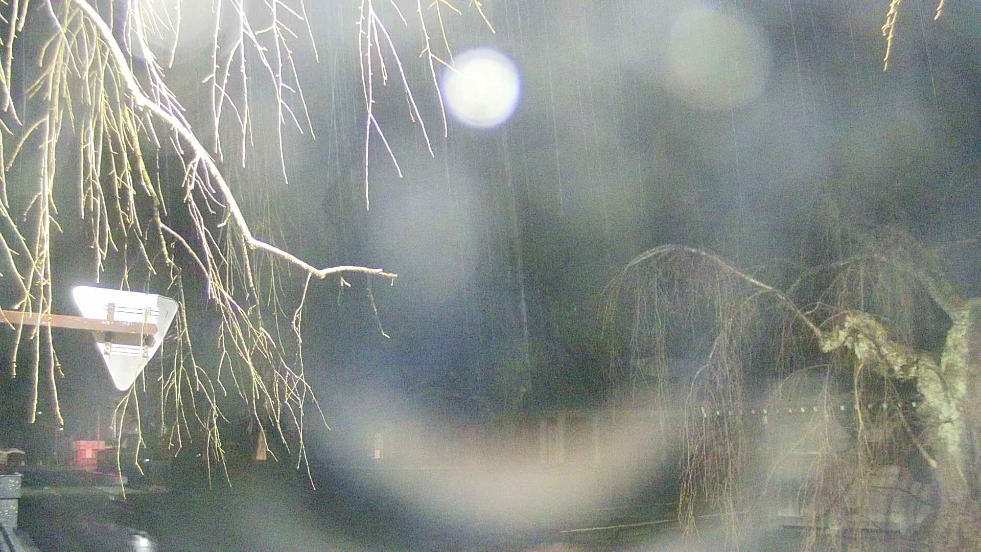 area1-20250409025016.jpg