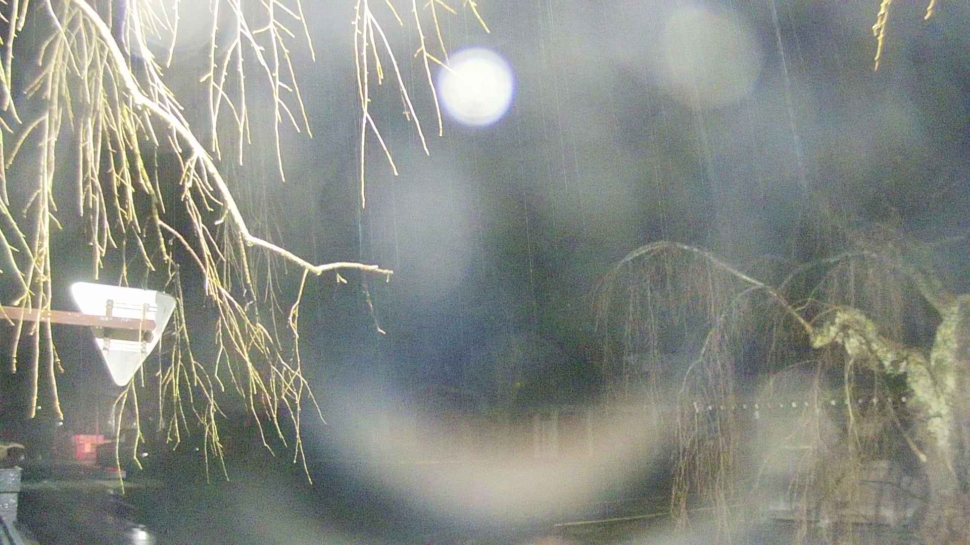 area1-20250409030015.jpg