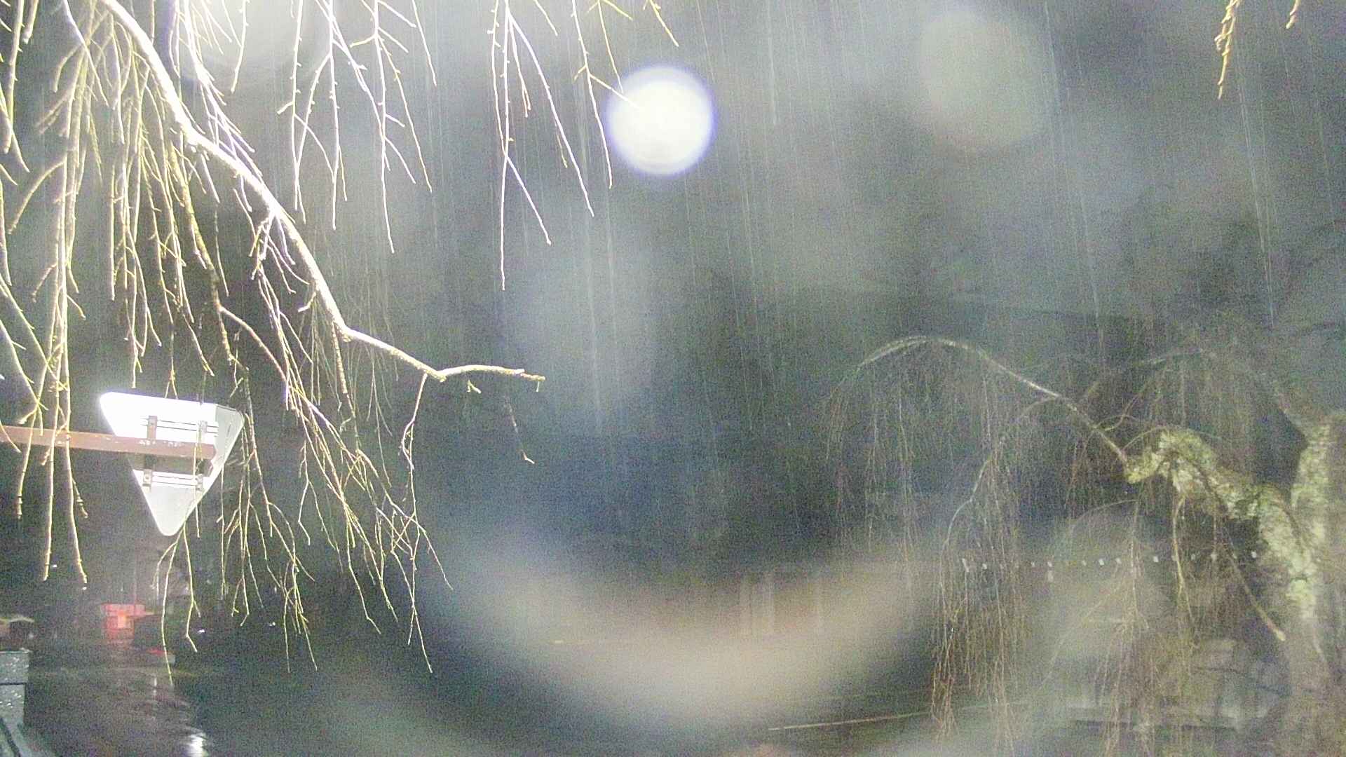 area1-20250409033016.jpg