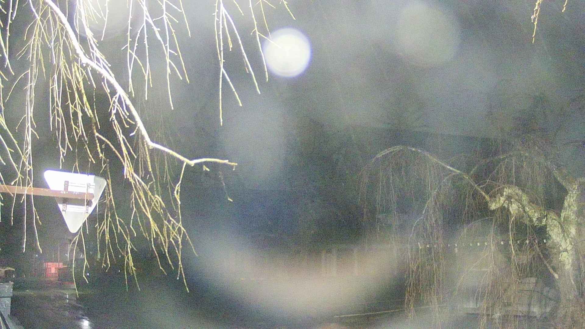 area1-20250409034016.jpg