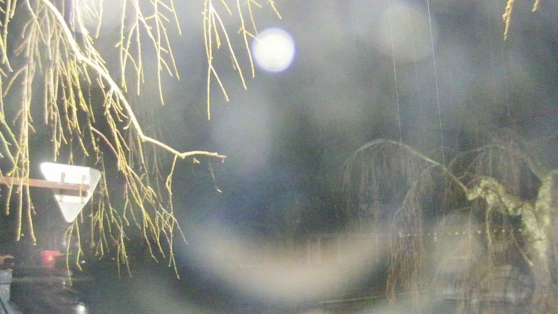 area1-20250409035016.jpg