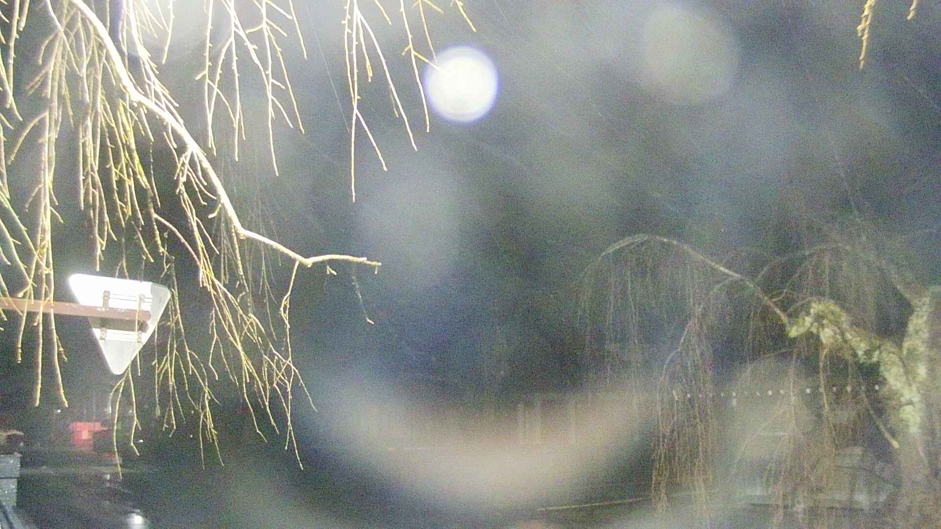area1-20250409041016.jpg