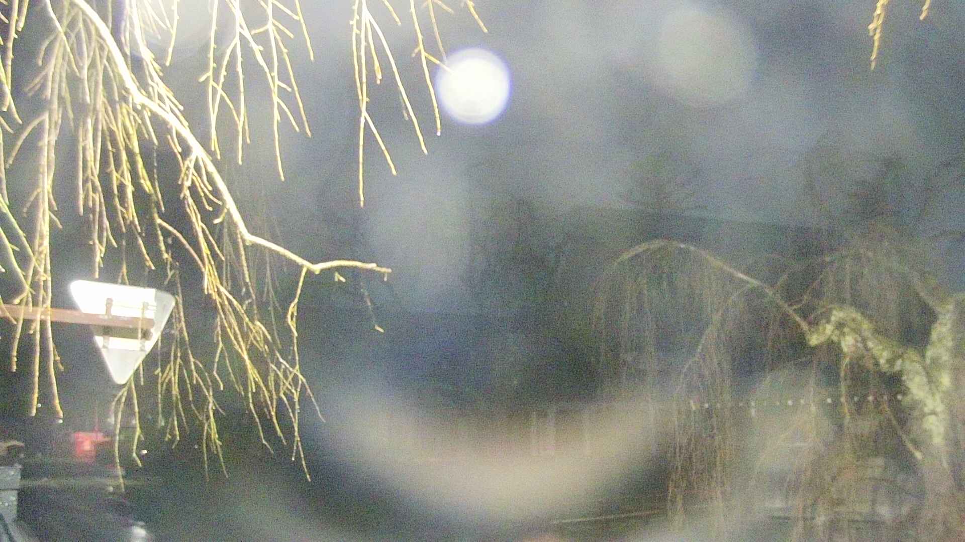 area1-20250409043016.jpg