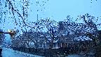 area1-20250409052016.jpg