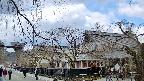 area1-20250409120017.jpg