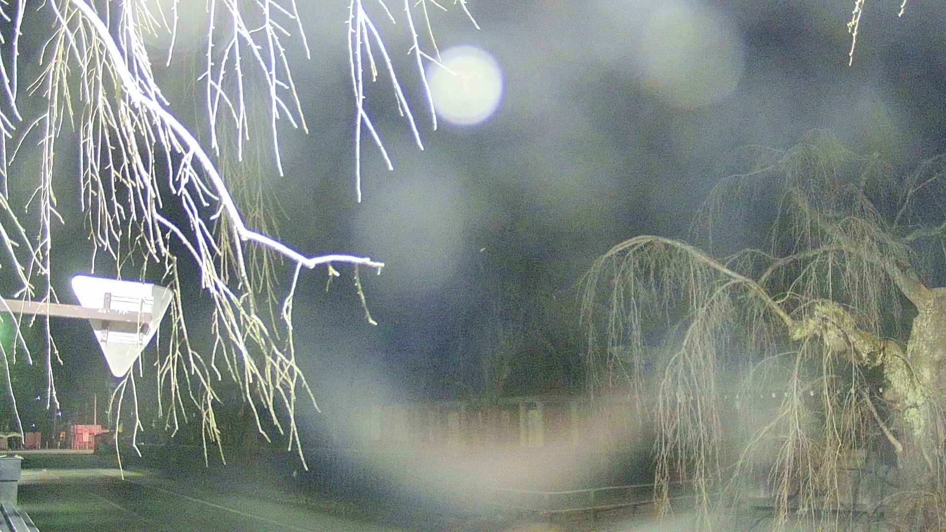 area1-20250409190016.jpg