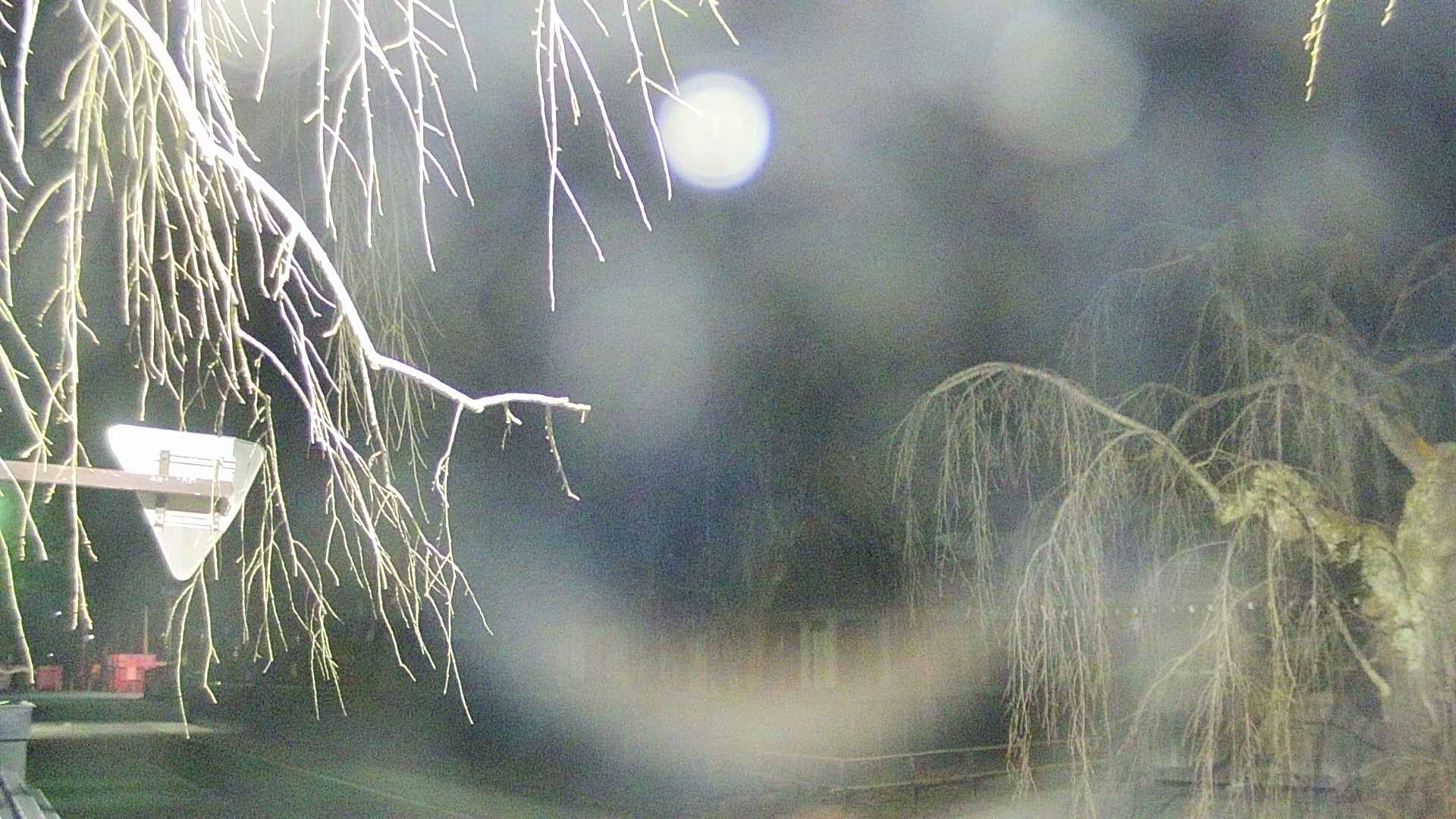 area1-20250409212017.jpg
