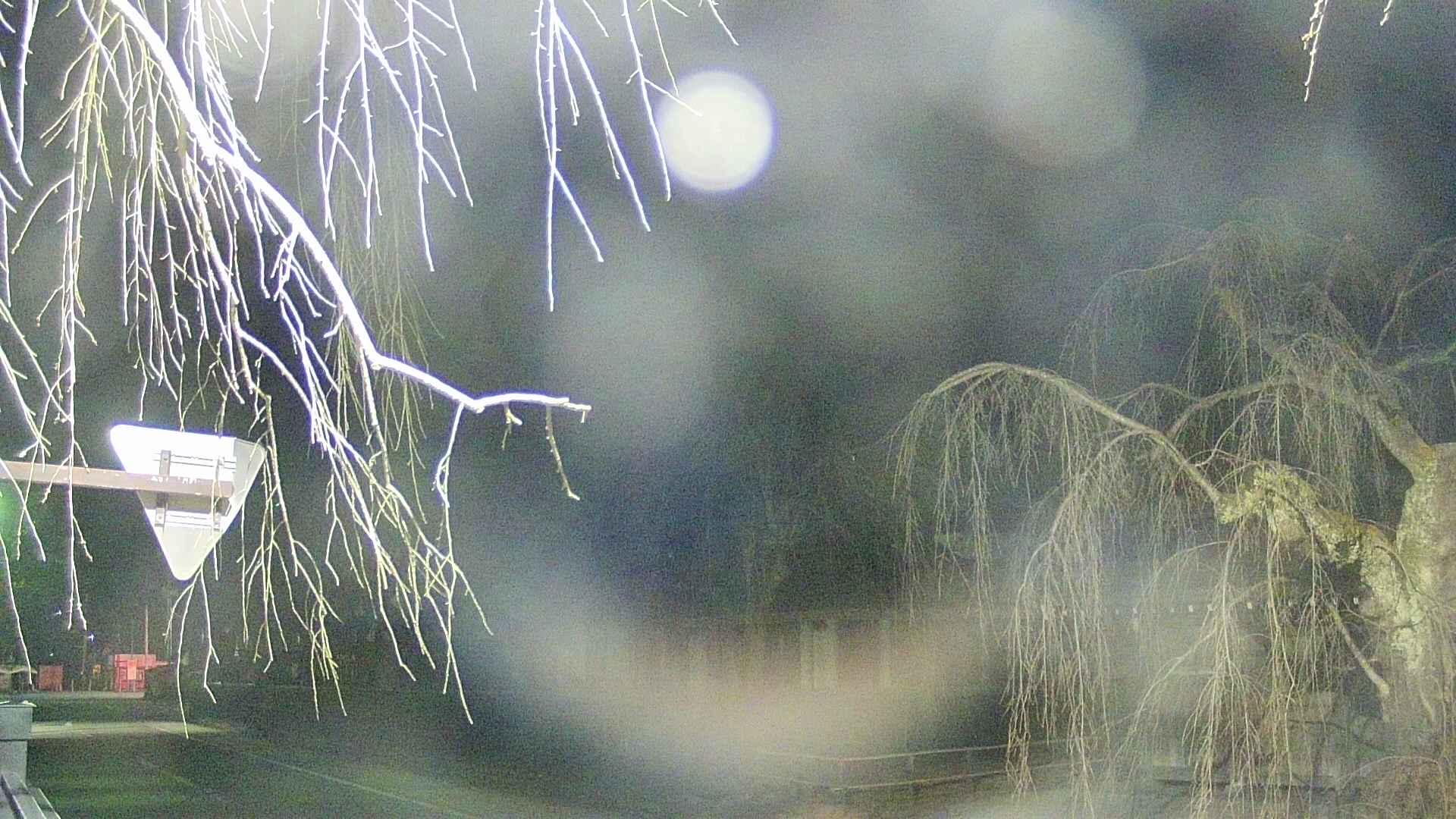 area1-20250409215015.jpg