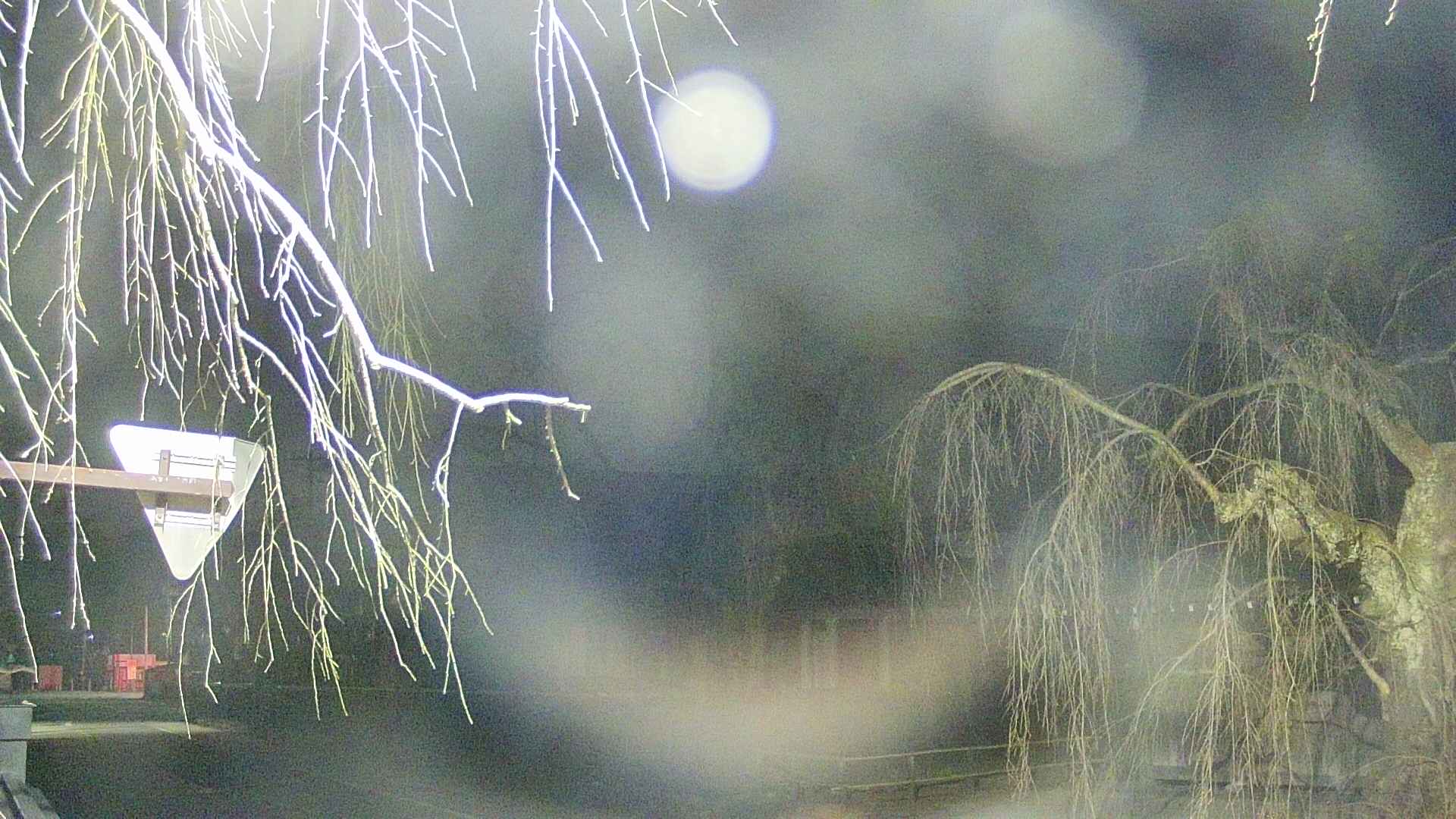area1-20250410012017.jpg