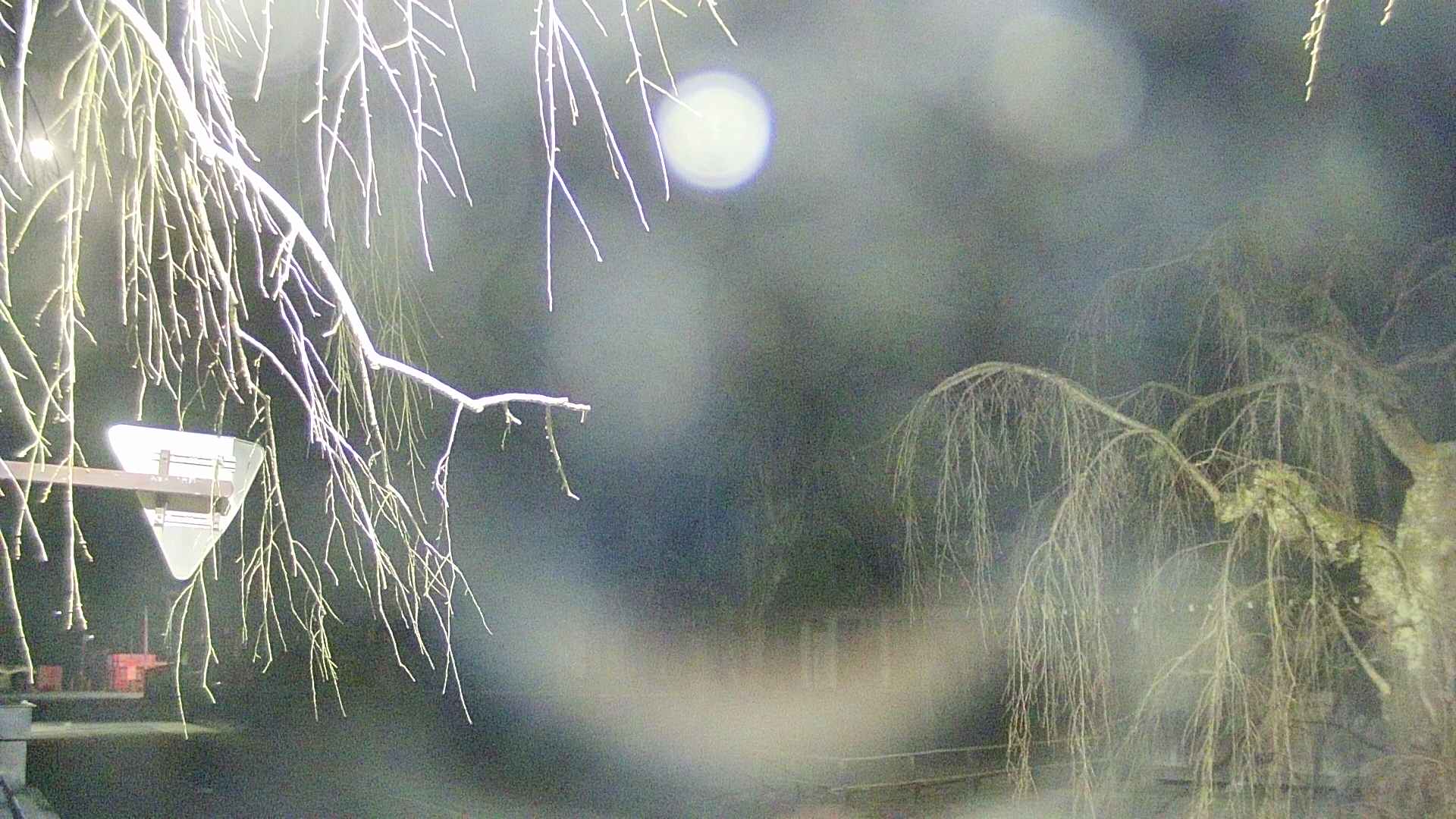 area1-20250410022016.jpg