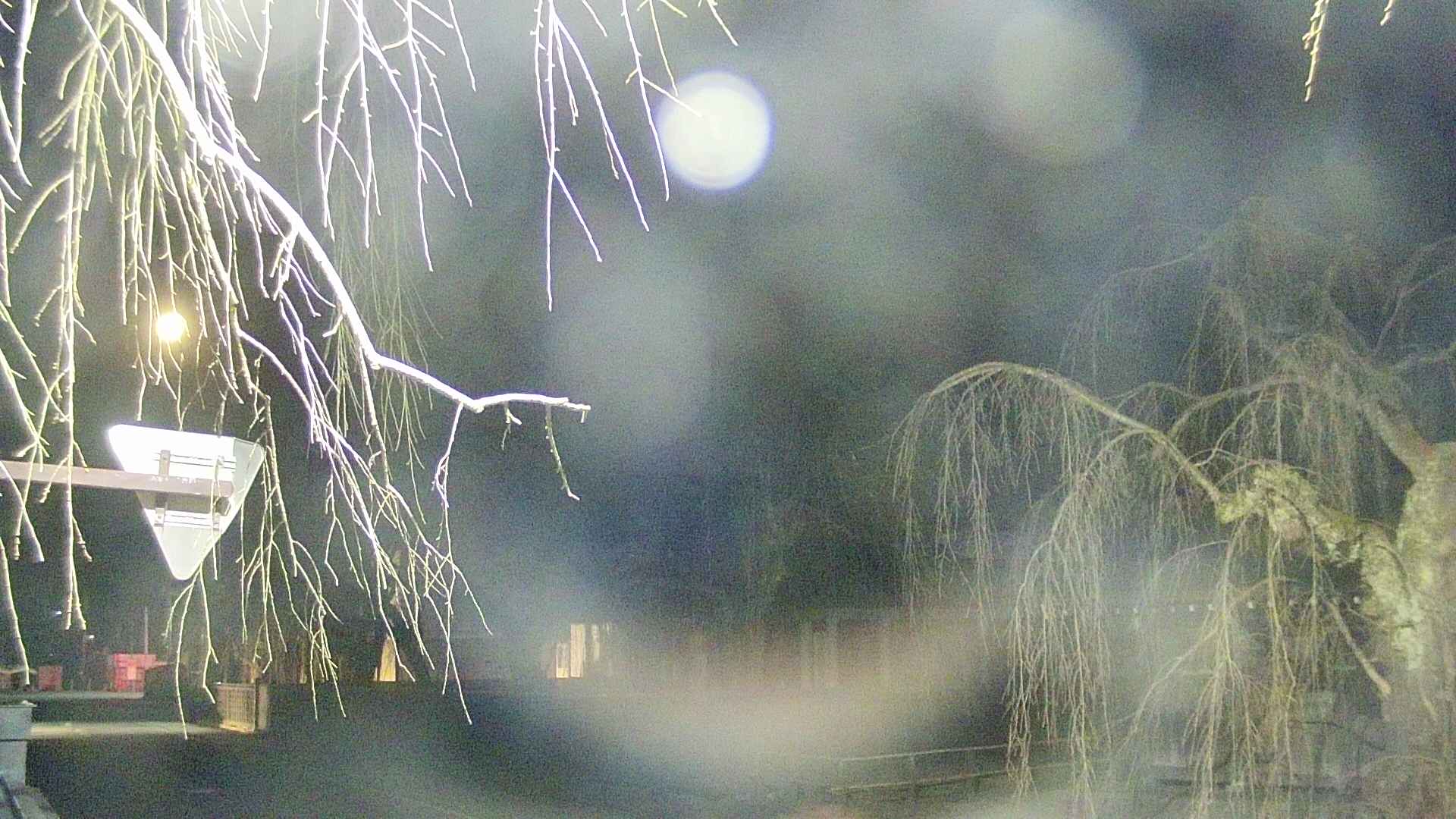 area1-20250410025015.jpg