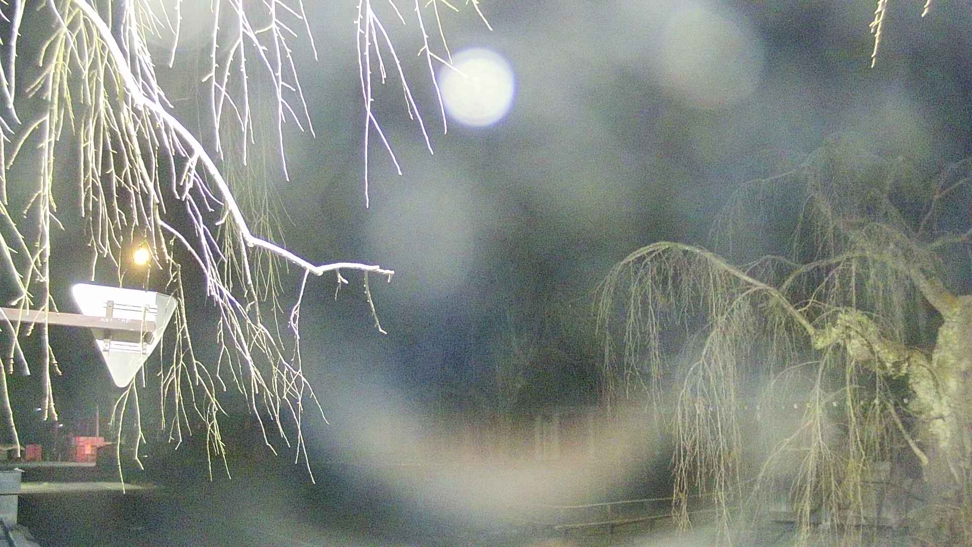 area1-20250410030016.jpg