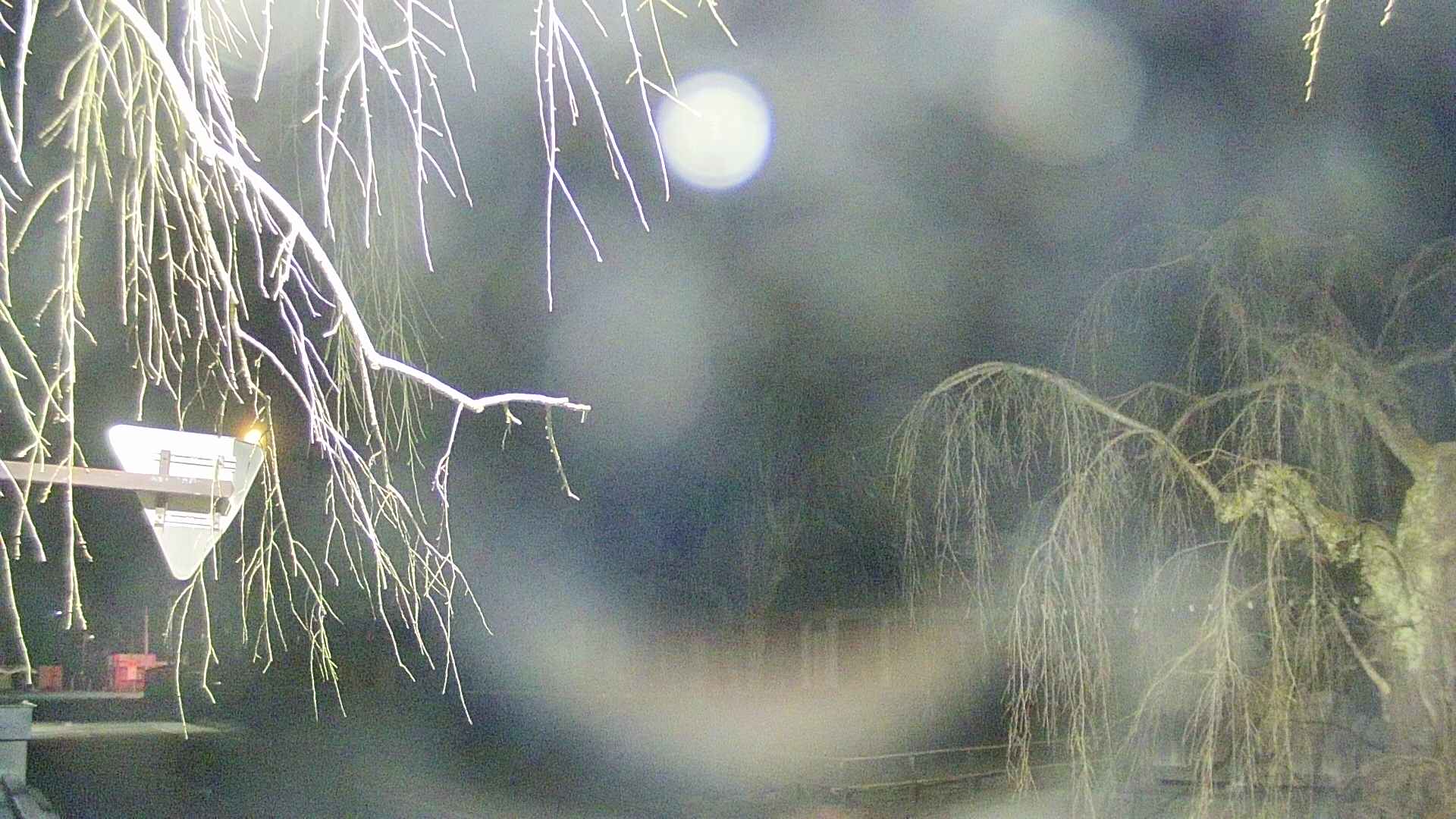 area1-20250410031014.jpg