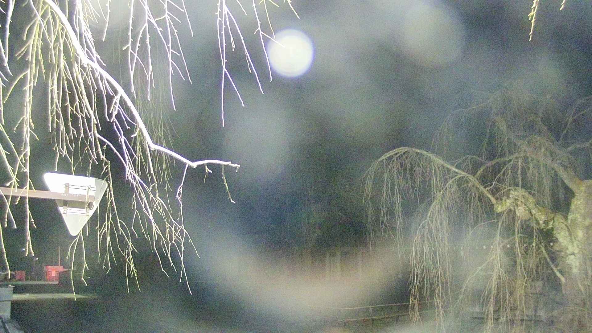 area1-20250410033017.jpg