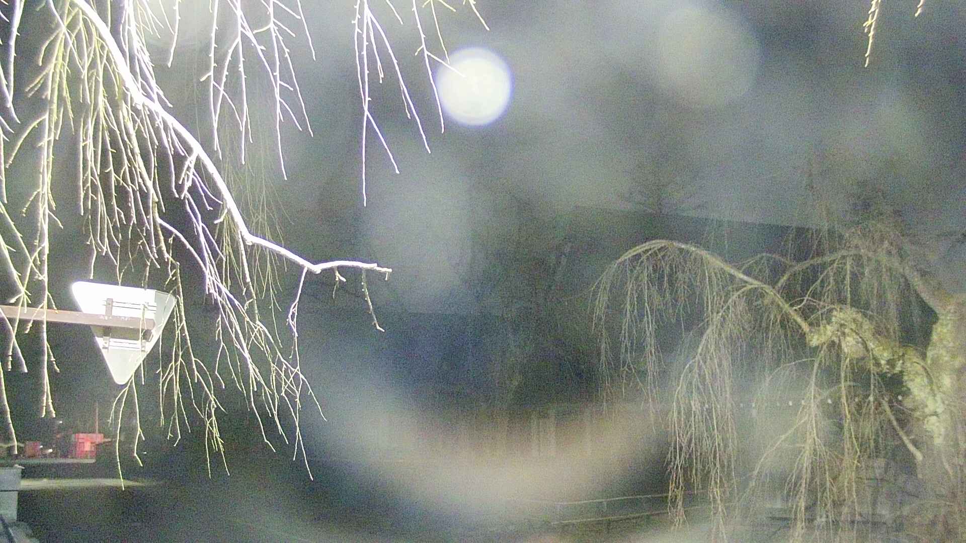 area1-20250410035014.jpg