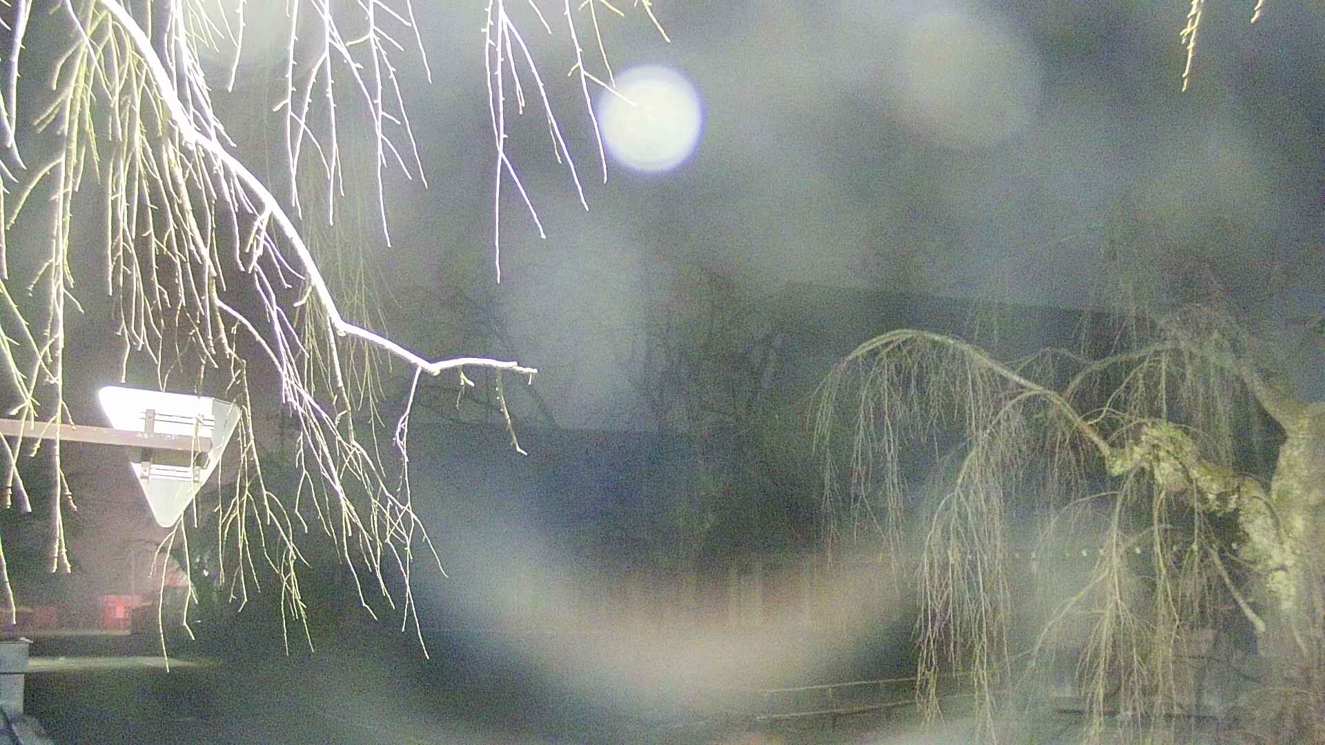 area1-20250410040016.jpg