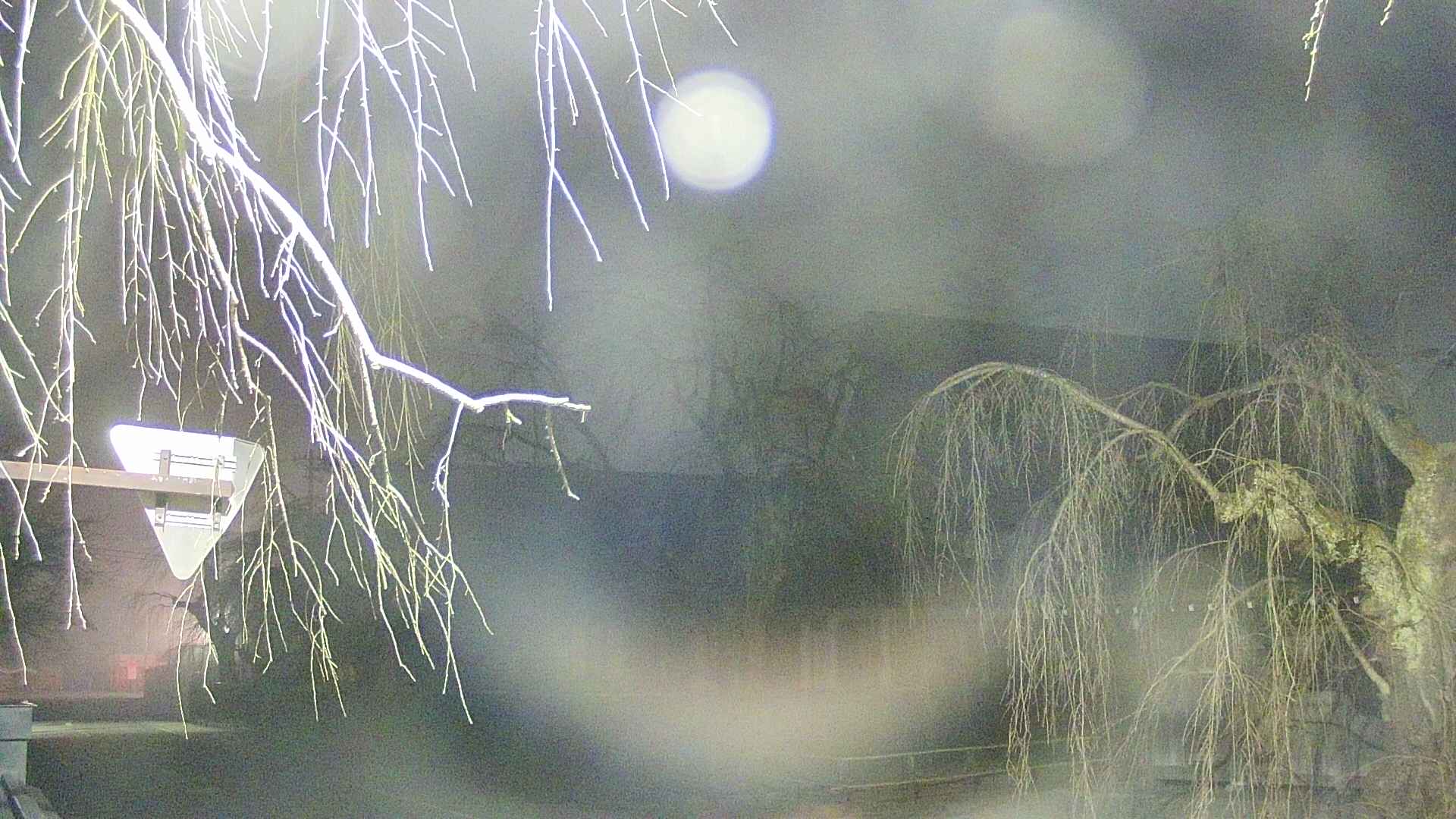 area1-20250410041016.jpg