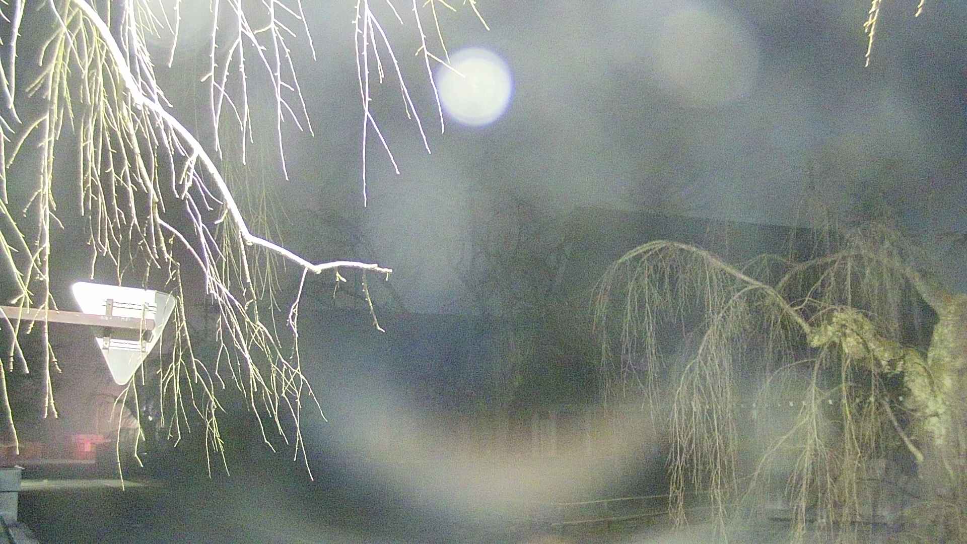 area1-20250410042016.jpg