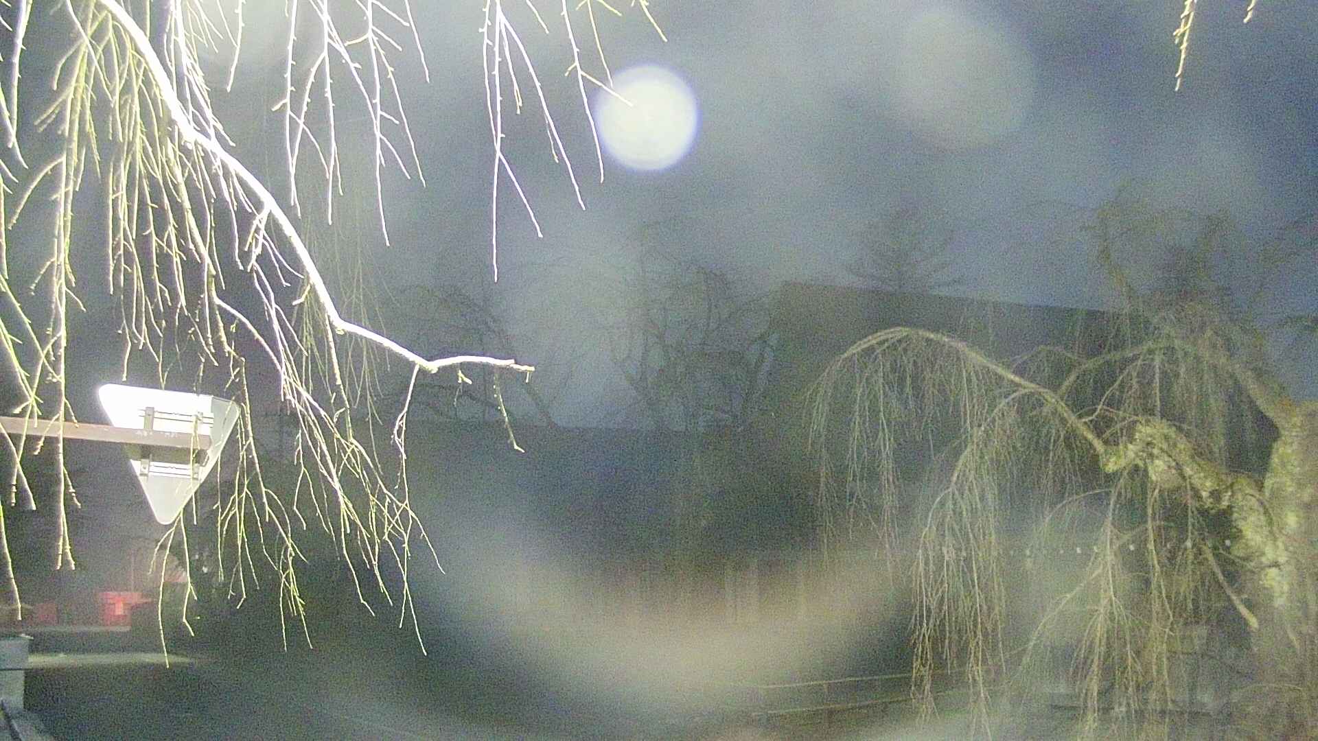 area1-20250410043016.jpg