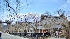 area1-20250410120016.jpg