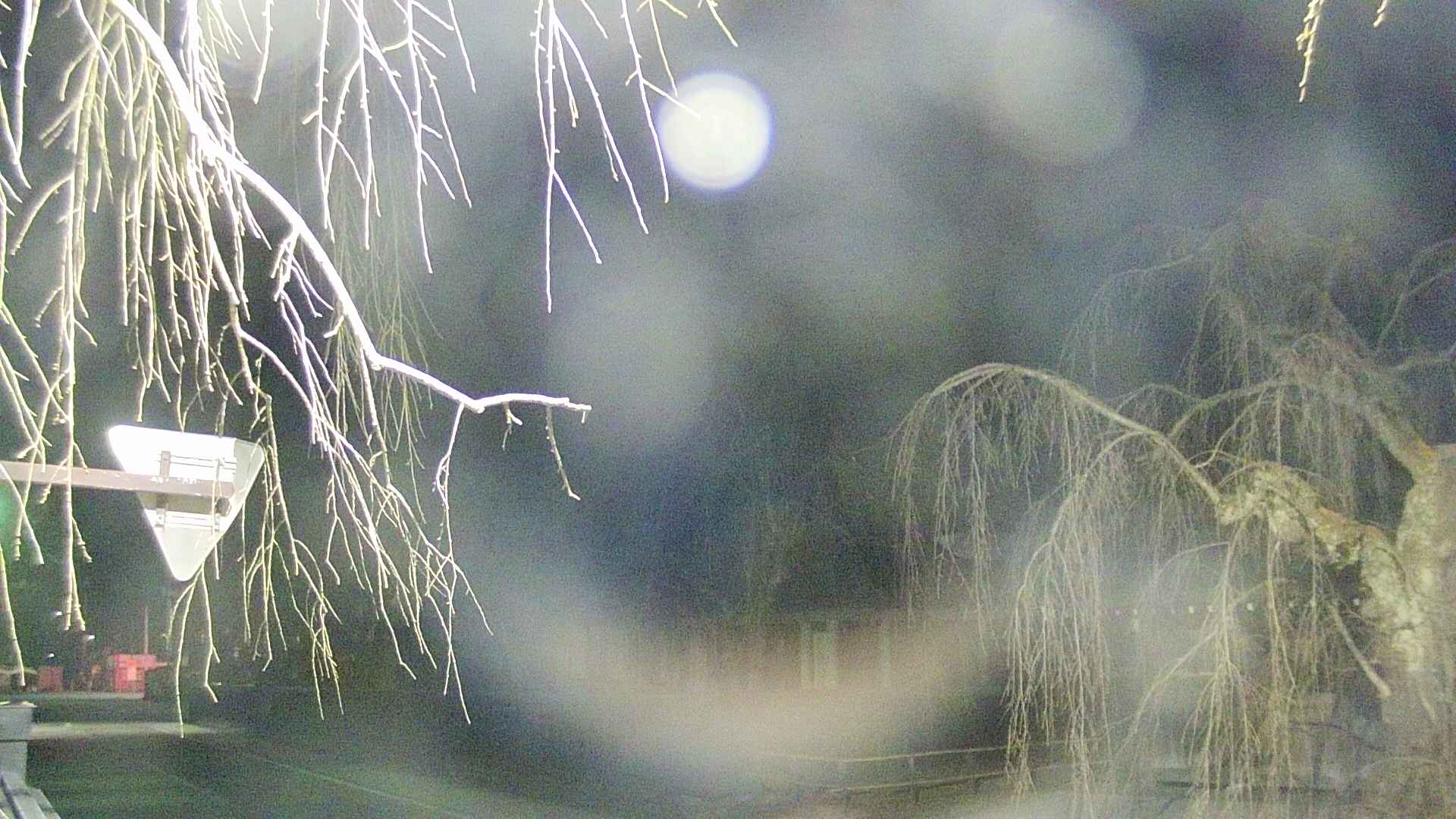 area1-20250410190015.jpg